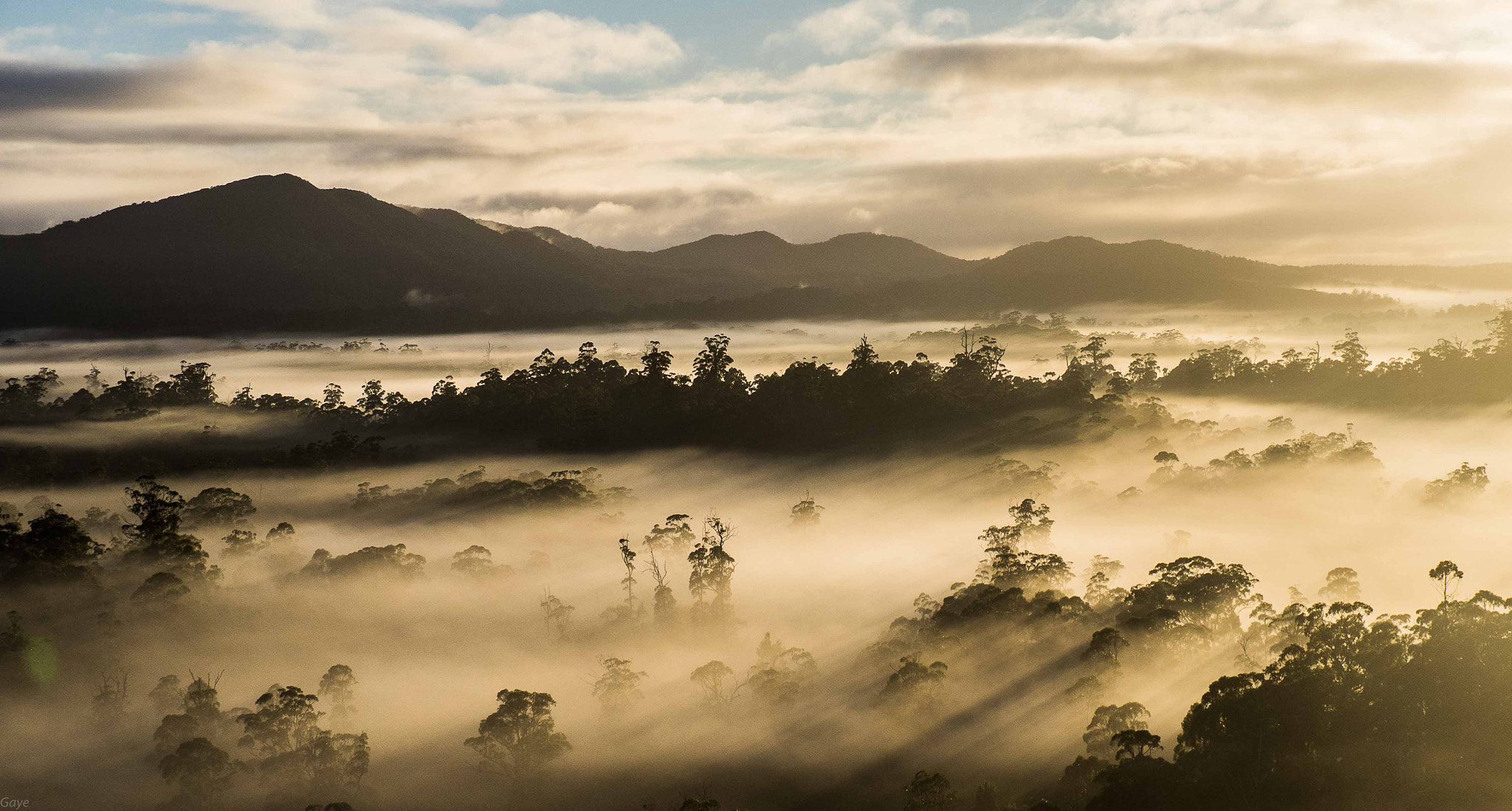 Panasonic Lumix G X Vario 35-100mm F2.8 OIS sample photo. Sunrise over forest photography
