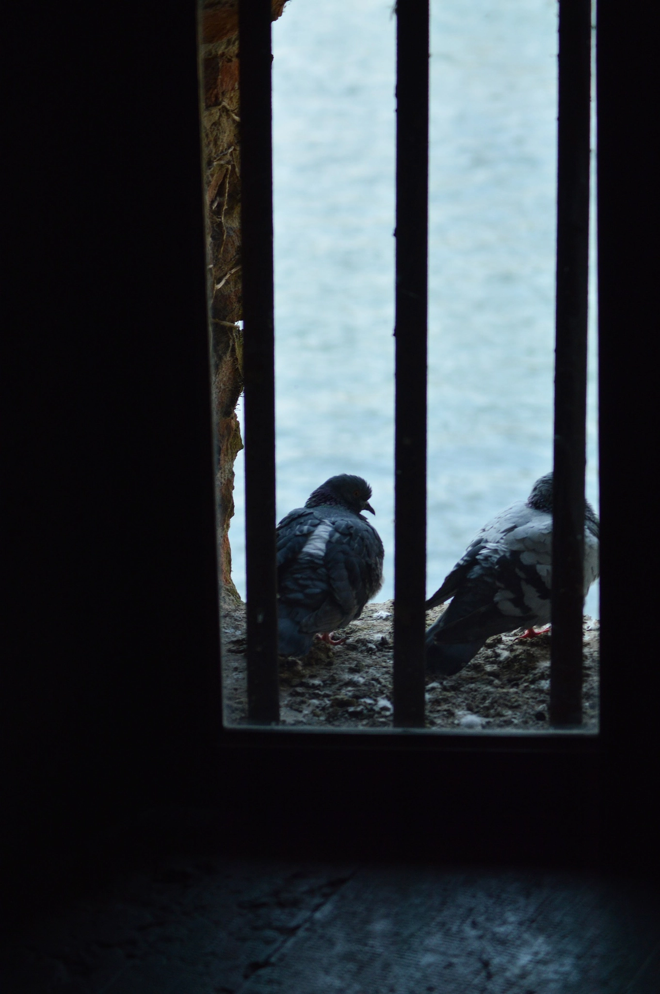 AF Zoom-Nikkor 75-300mm f/4.5-5.6 sample photo. Castelvecchio, verona, italy photography
