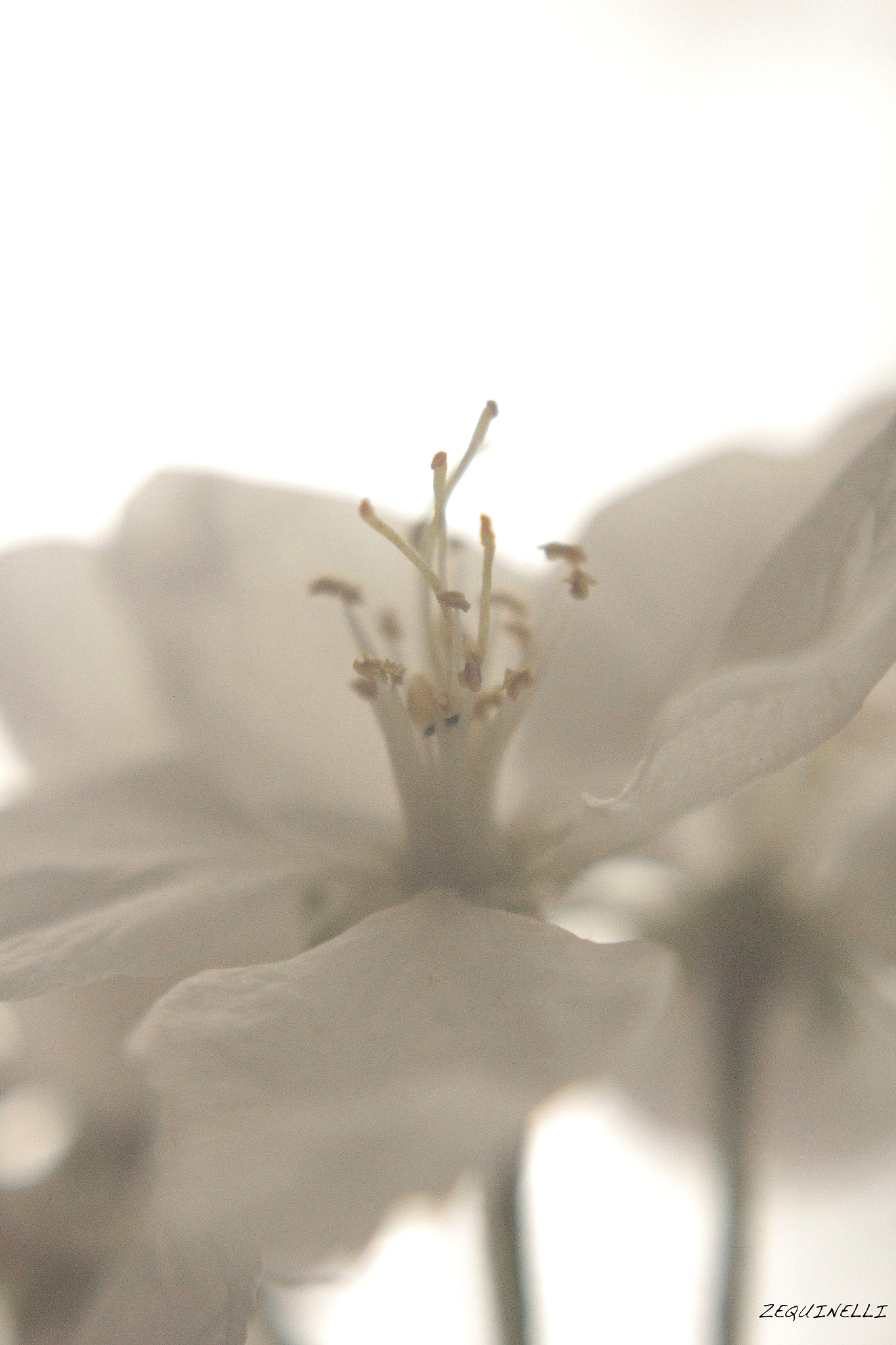 Sigma 28-80mm f/3.5-5.6 II Macro sample photo. Entre luces y sombras photography