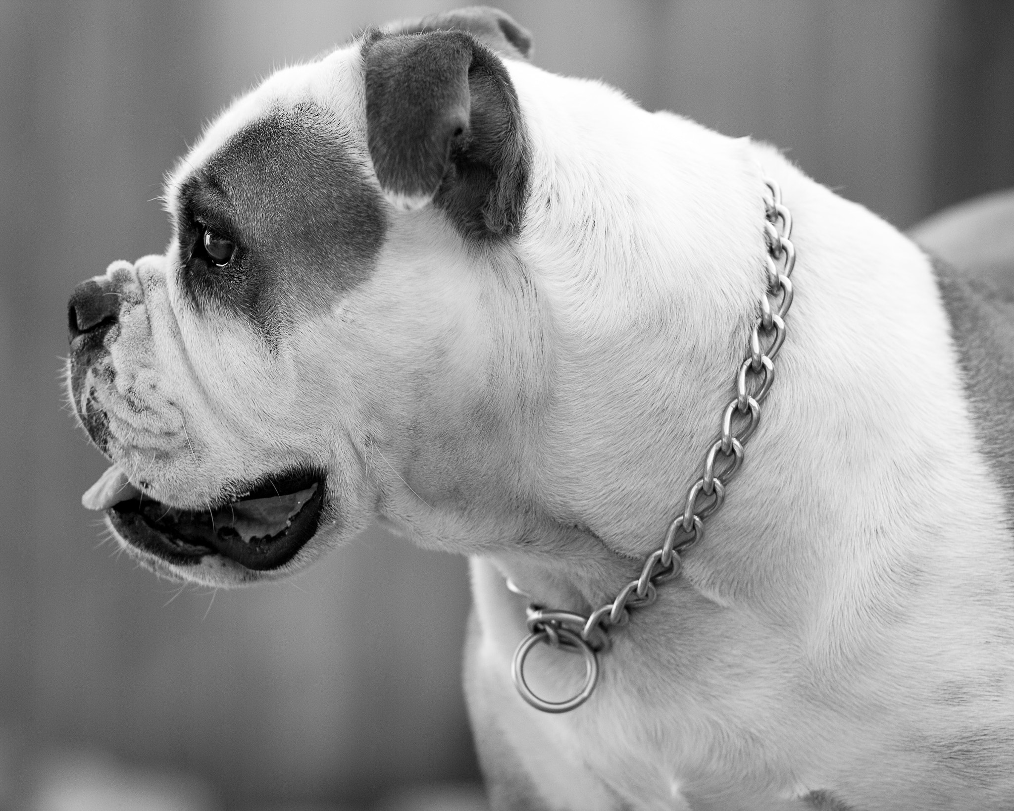Canon EOS 550D (EOS Rebel T2i / EOS Kiss X4) sample photo. Miss ellie photography