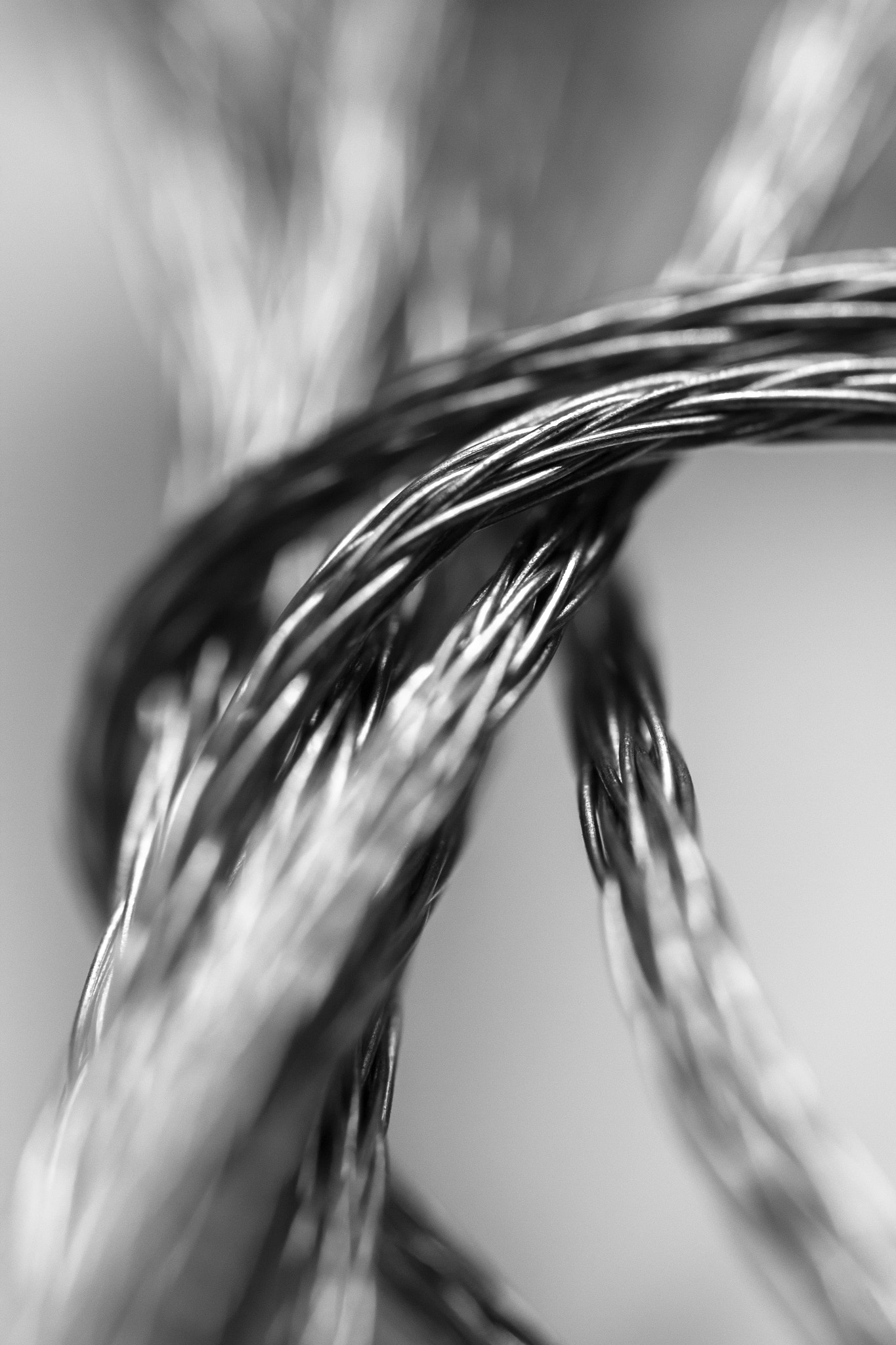 Canon EF-S 60mm F2.8 Macro USM sample photo. Crossed wires photography