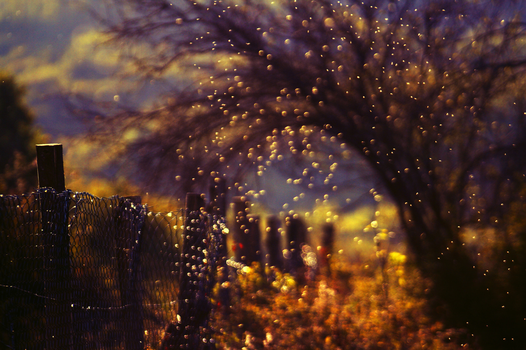Tamron SP AF 70-200mm F2.8 Di LD (IF) MACRO sample photo. Surreal heaven photography
