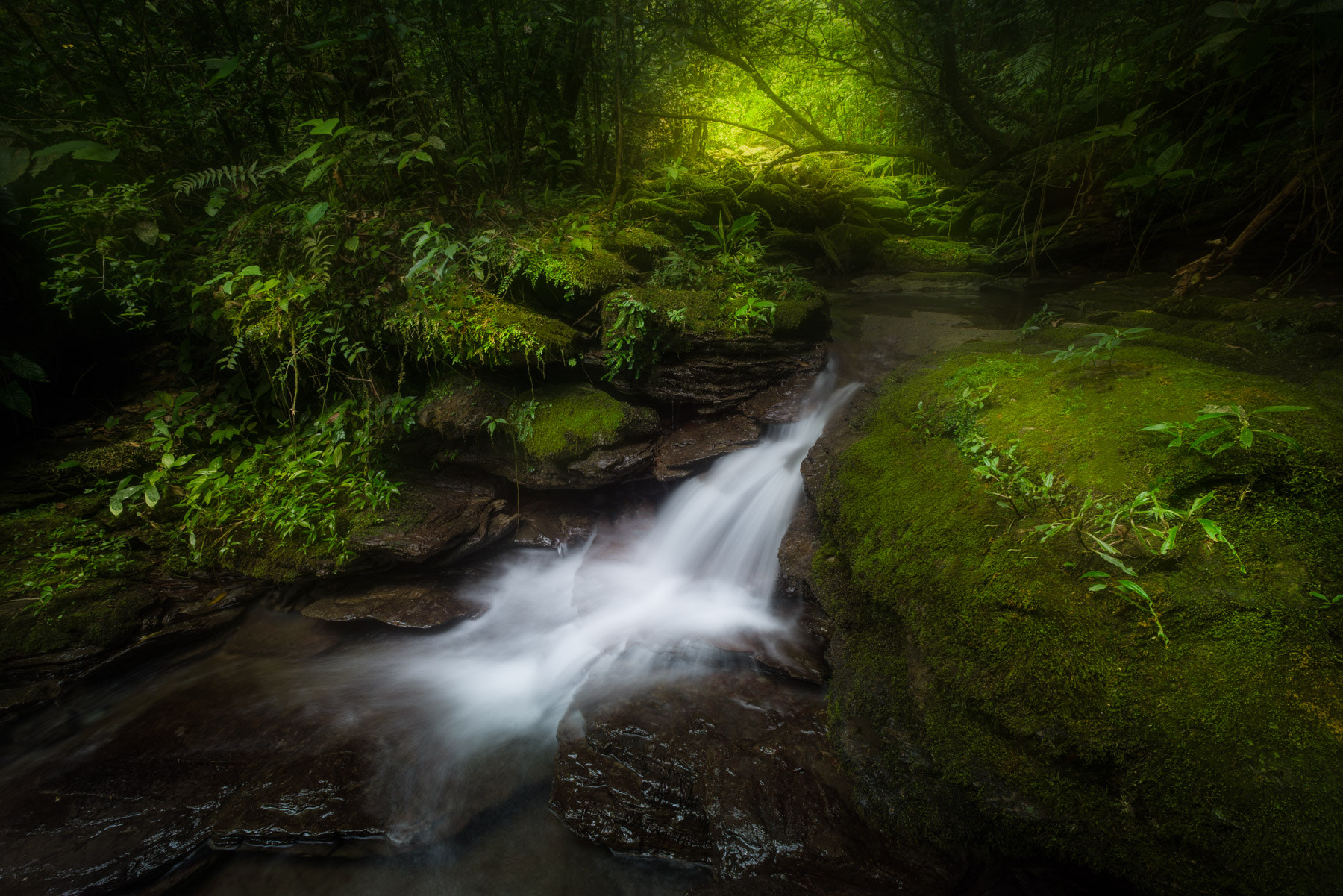 Nikon D800 + Sigma 14mm F2.8 EX Aspherical HSM sample photo. Cascadas en sierra de juarez, oaxaca photography