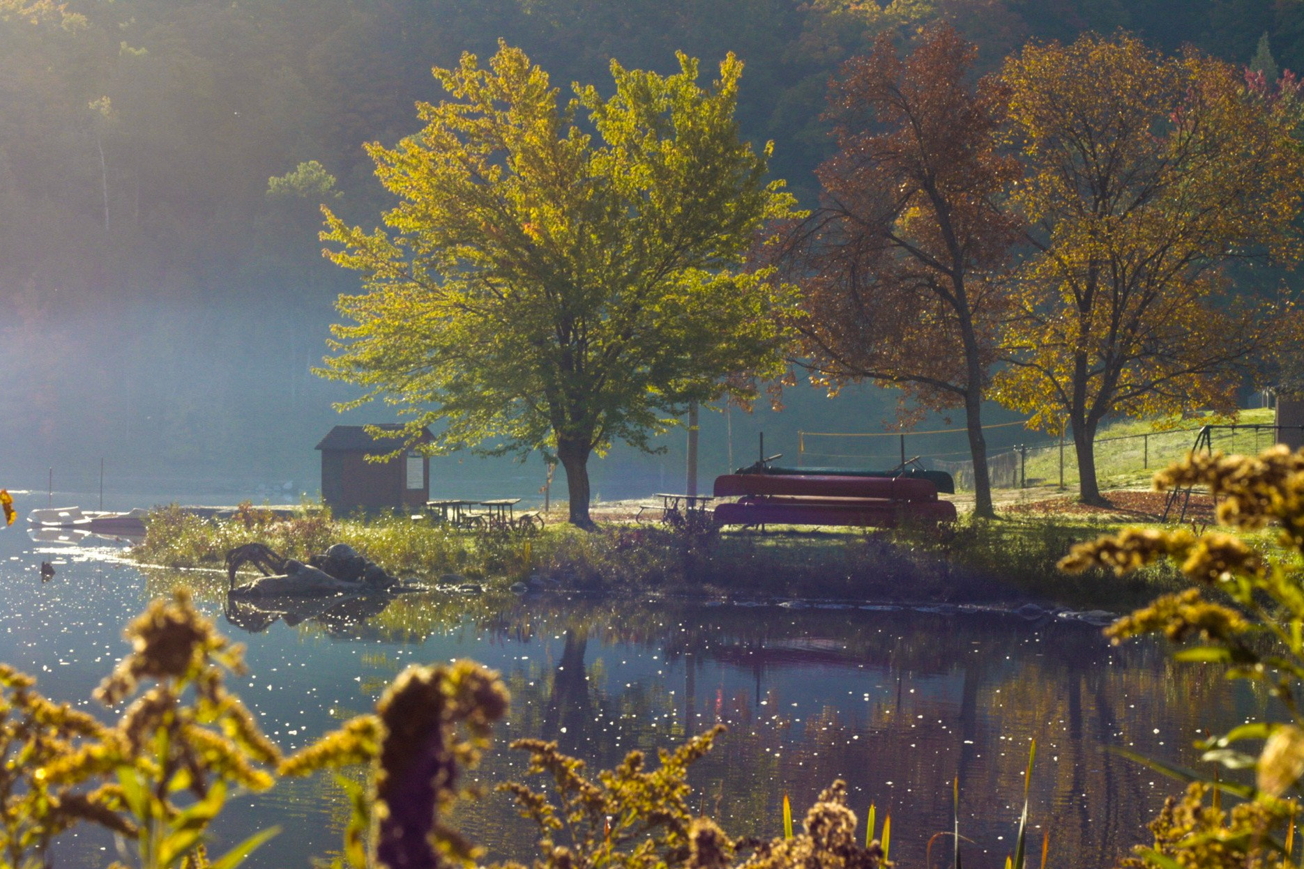Canon EF 50mm f/1.8 sample photo