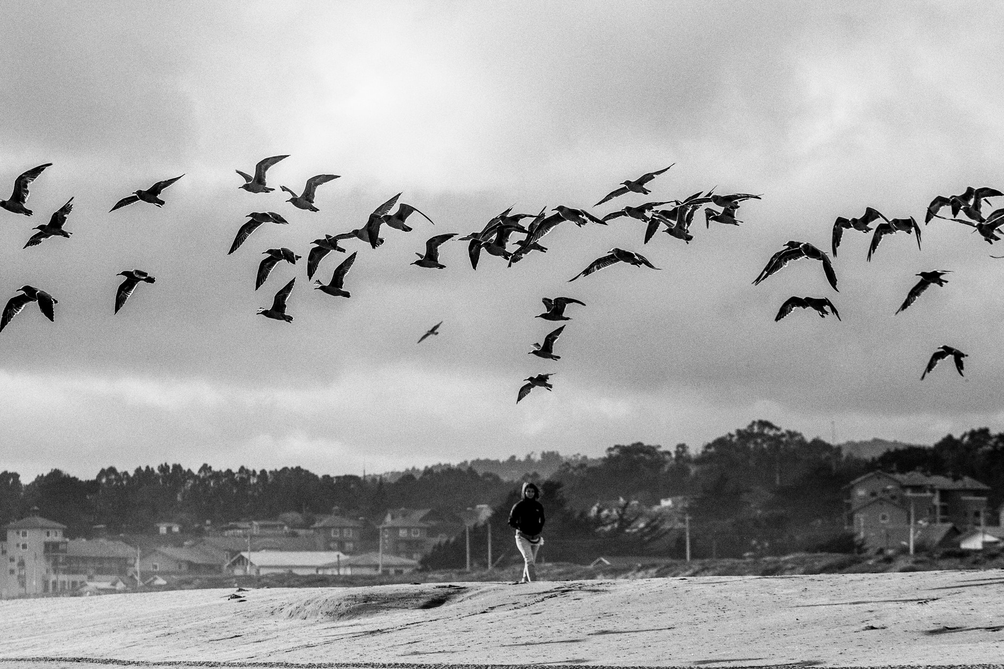 Canon EOS-1D Mark III sample photo. Playa de otoño photography