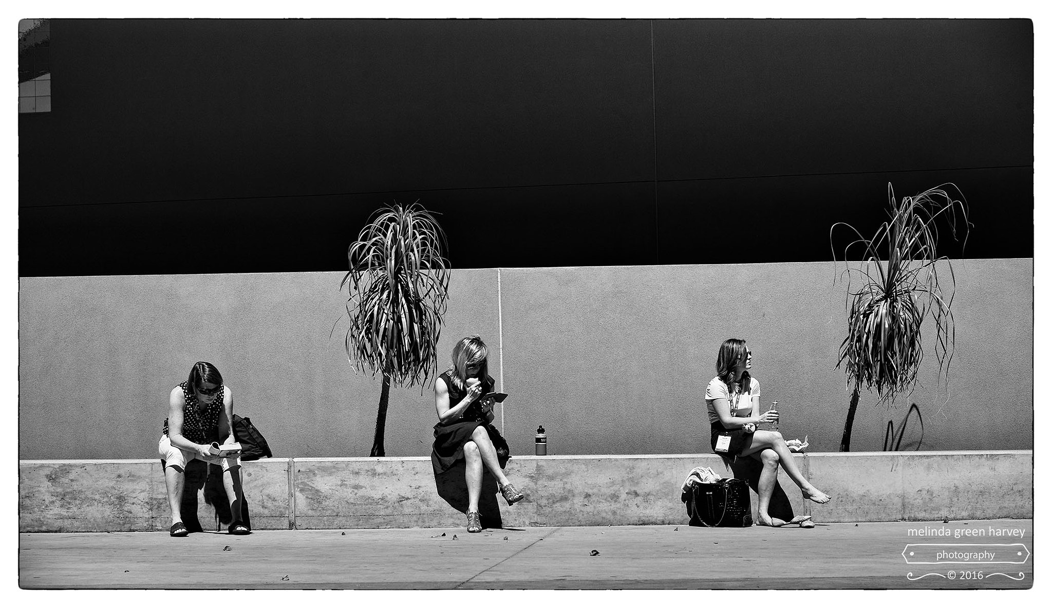 Leica Summarit-M 50mm F2.4 sample photo. Lunch break photography