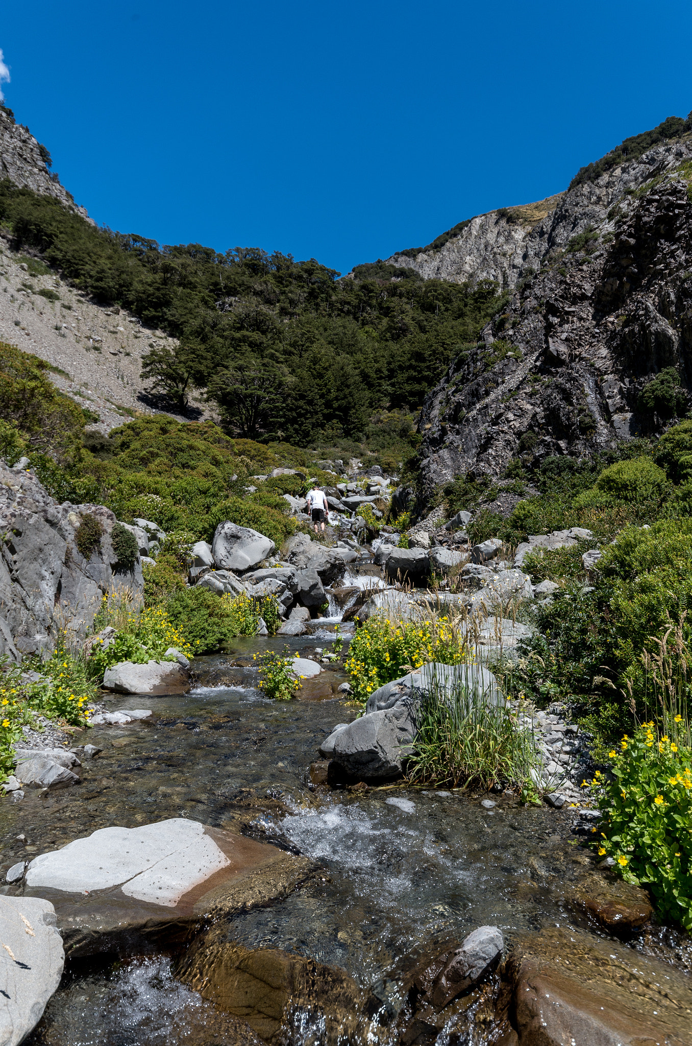 Sigma AF 10-20mm F4-5.6 EX DC sample photo. Ghost creek 2 photography