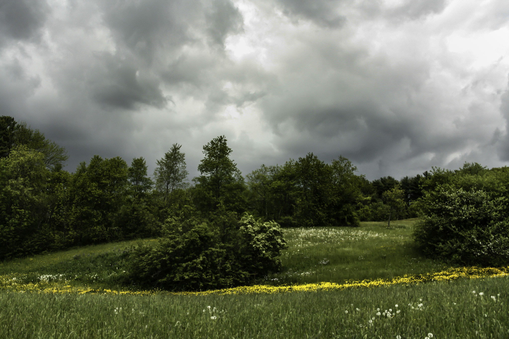 Sigma 18-50mm f/3.5-5.6 DC sample photo. At the midden photography
