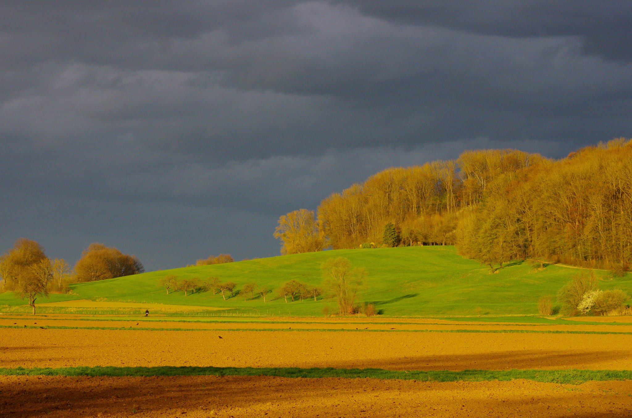 smc PENTAX-DA L 55-300mm F4-5.8 ED sample photo. Warm evening light photography