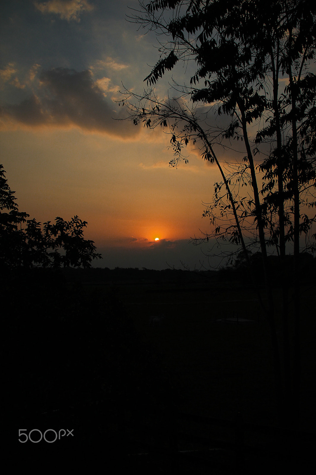 Sigma 18-200mm f/3.5-6.3 DC OS sample photo. Sunset photography