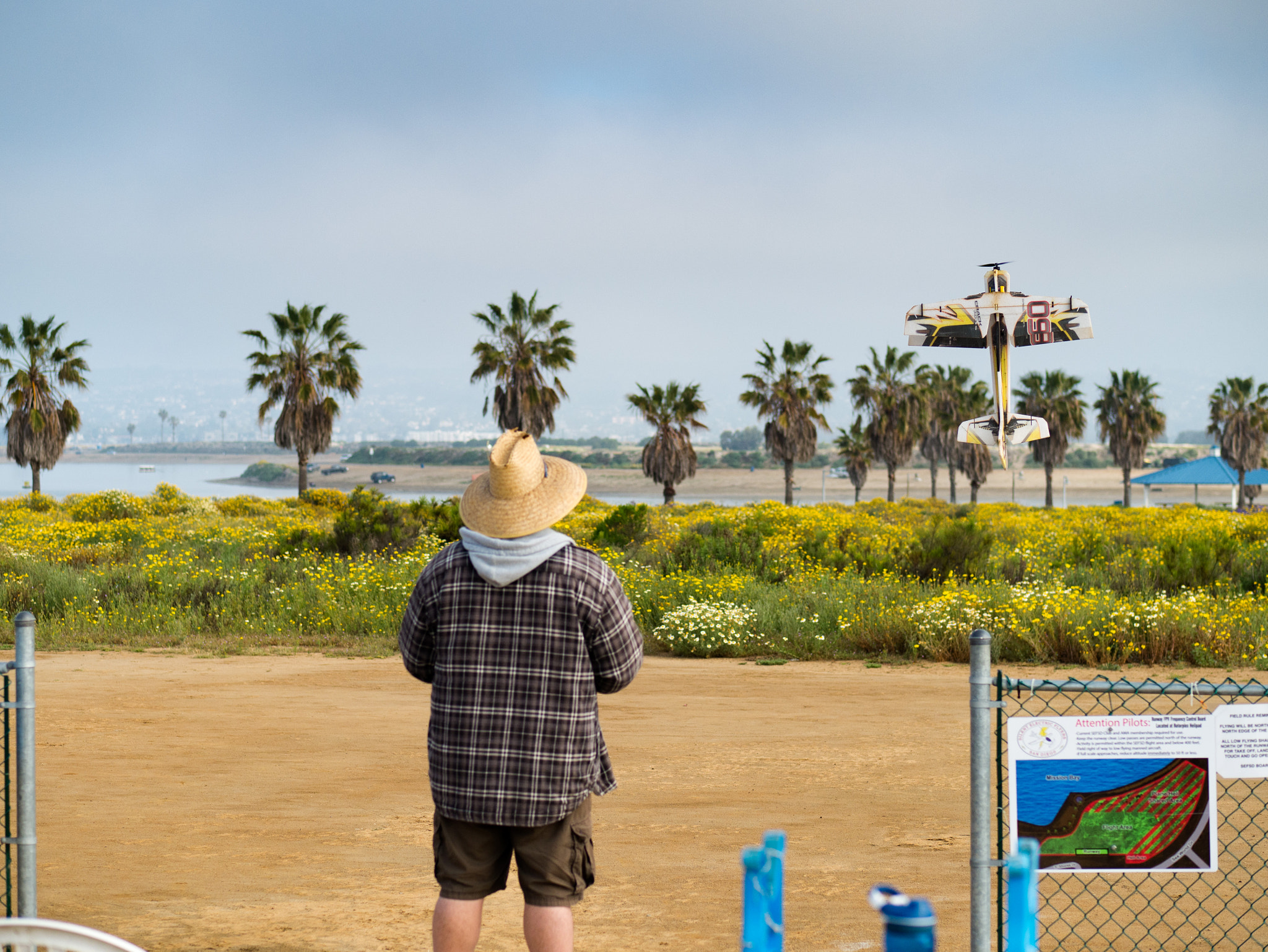 Panasonic Lumix G 42.5mm F1.7 ASPH Power OIS sample photo. Flying 3d photography