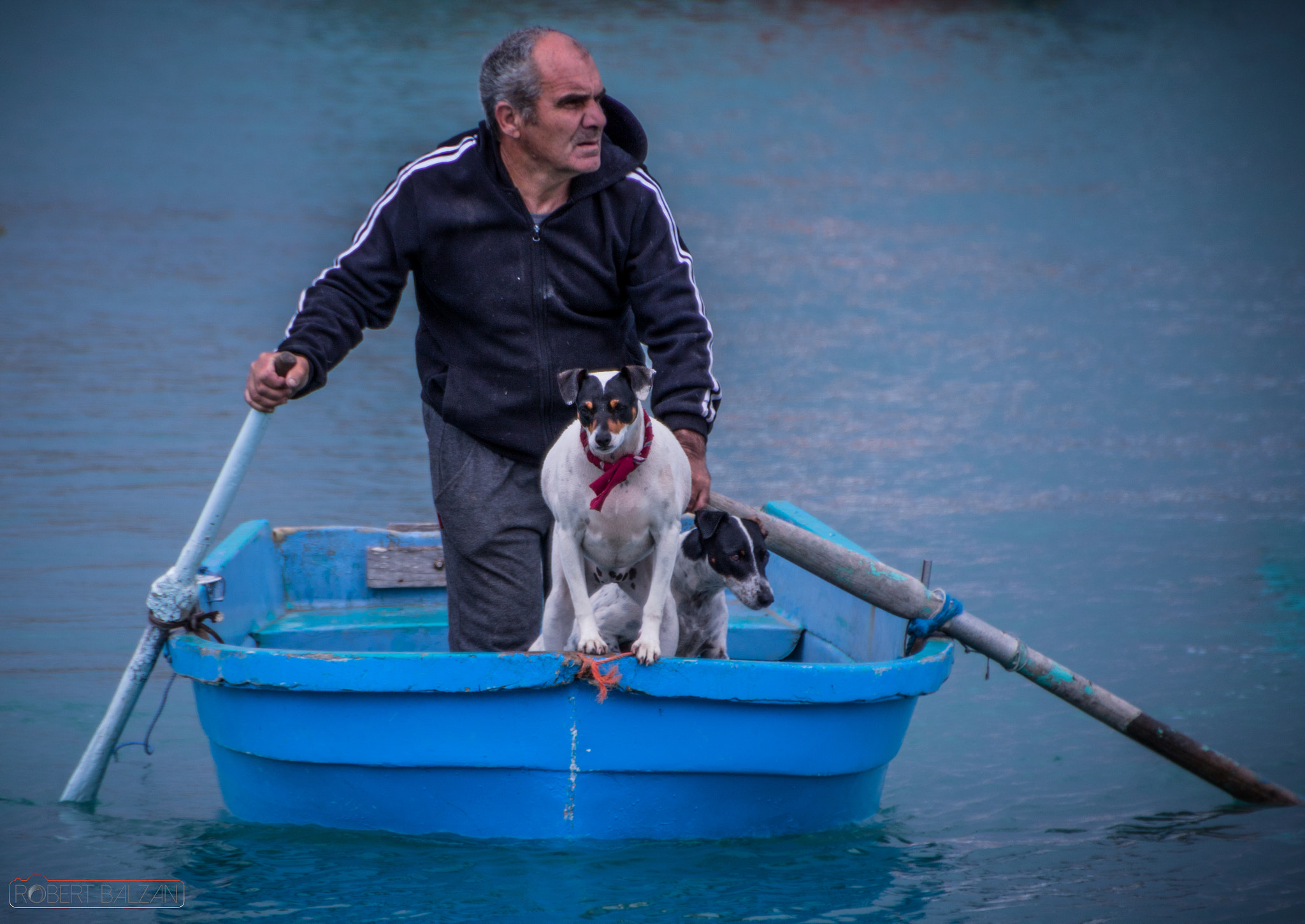 Canon EOS 760D (EOS Rebel T6s / EOS 8000D) sample photo. Captin dog photography