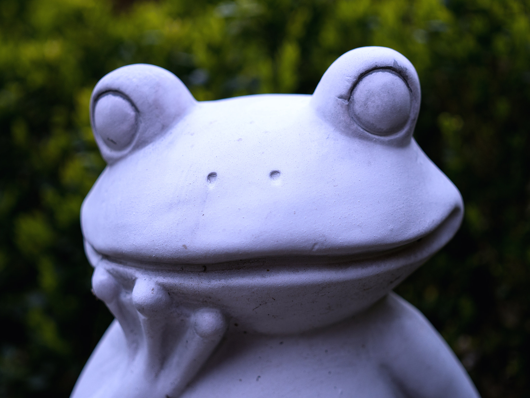 Sigma 30mm F2.8 EX DN sample photo. Frosch photography