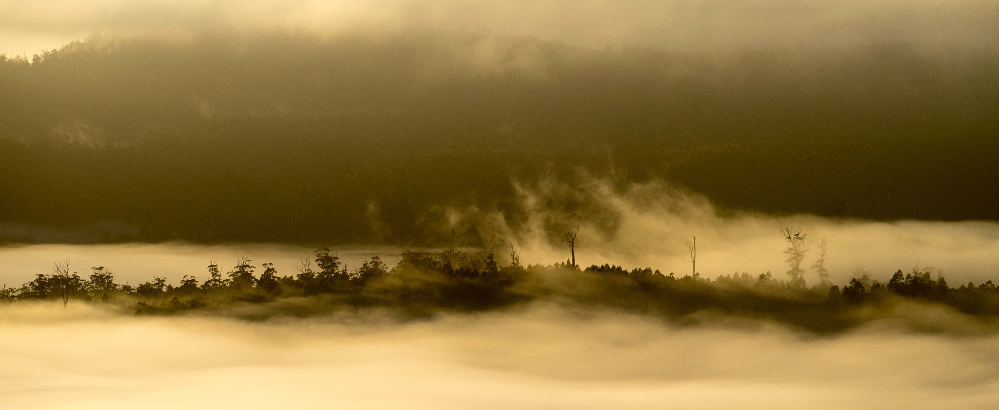 Panasonic Lumix G X Vario 35-100mm F2.8 OIS sample photo. Gold mist photography
