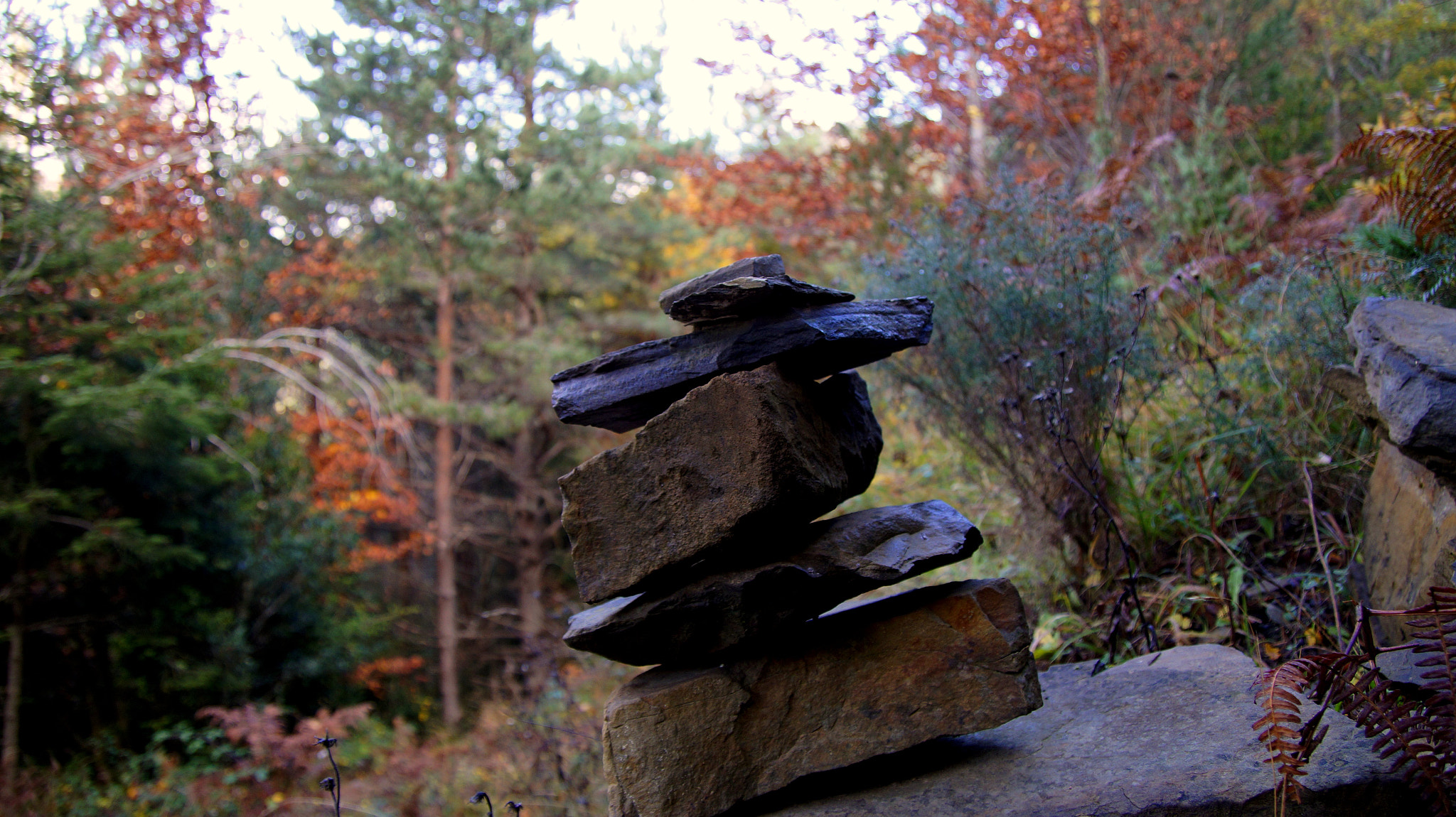 Sony DT 18-250mm F3.5-6.3 sample photo. Piedras en el camino photography