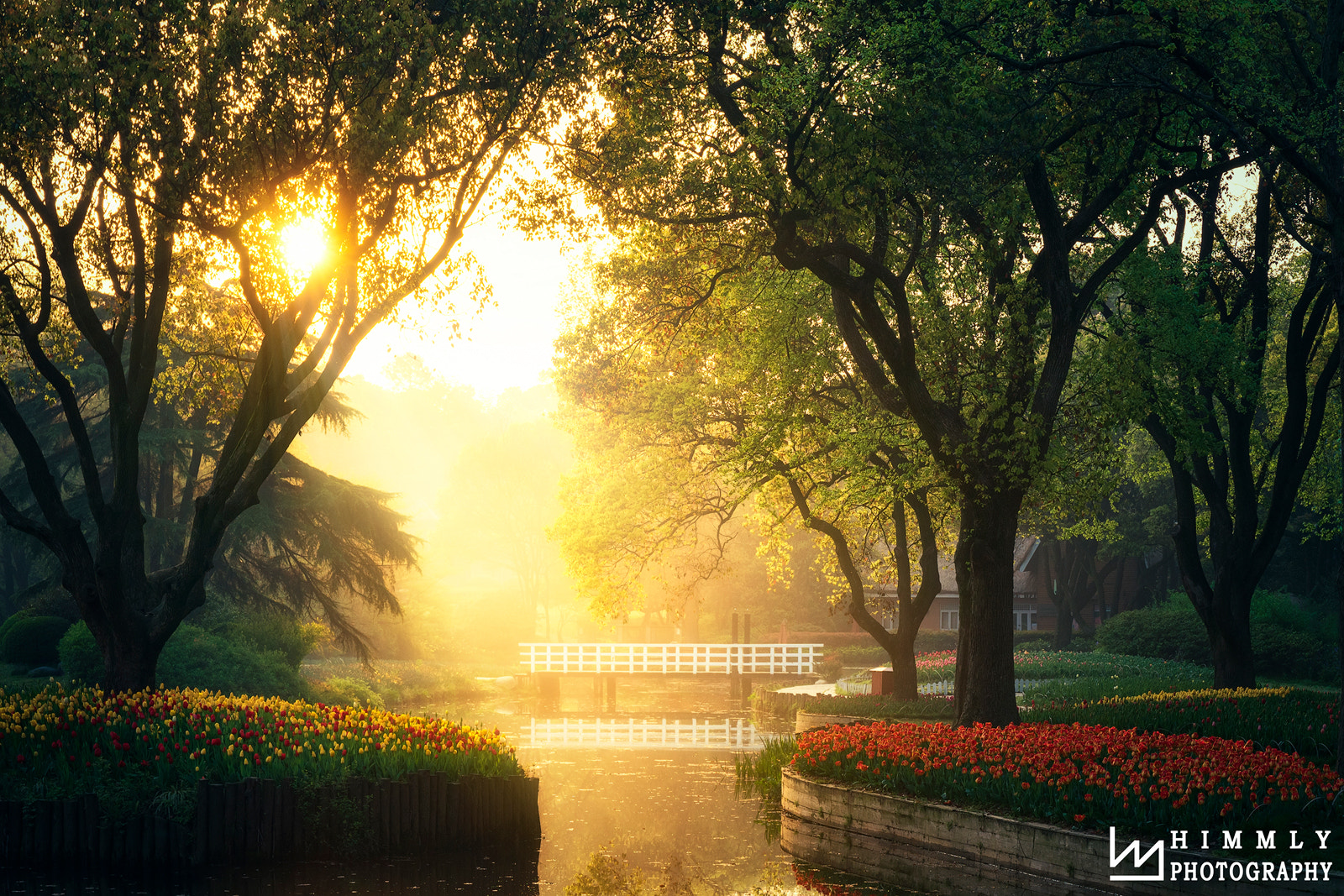 Saumsun NX 16-50mm F2-2.8 S ED OIS sample photo. The color of morning photography