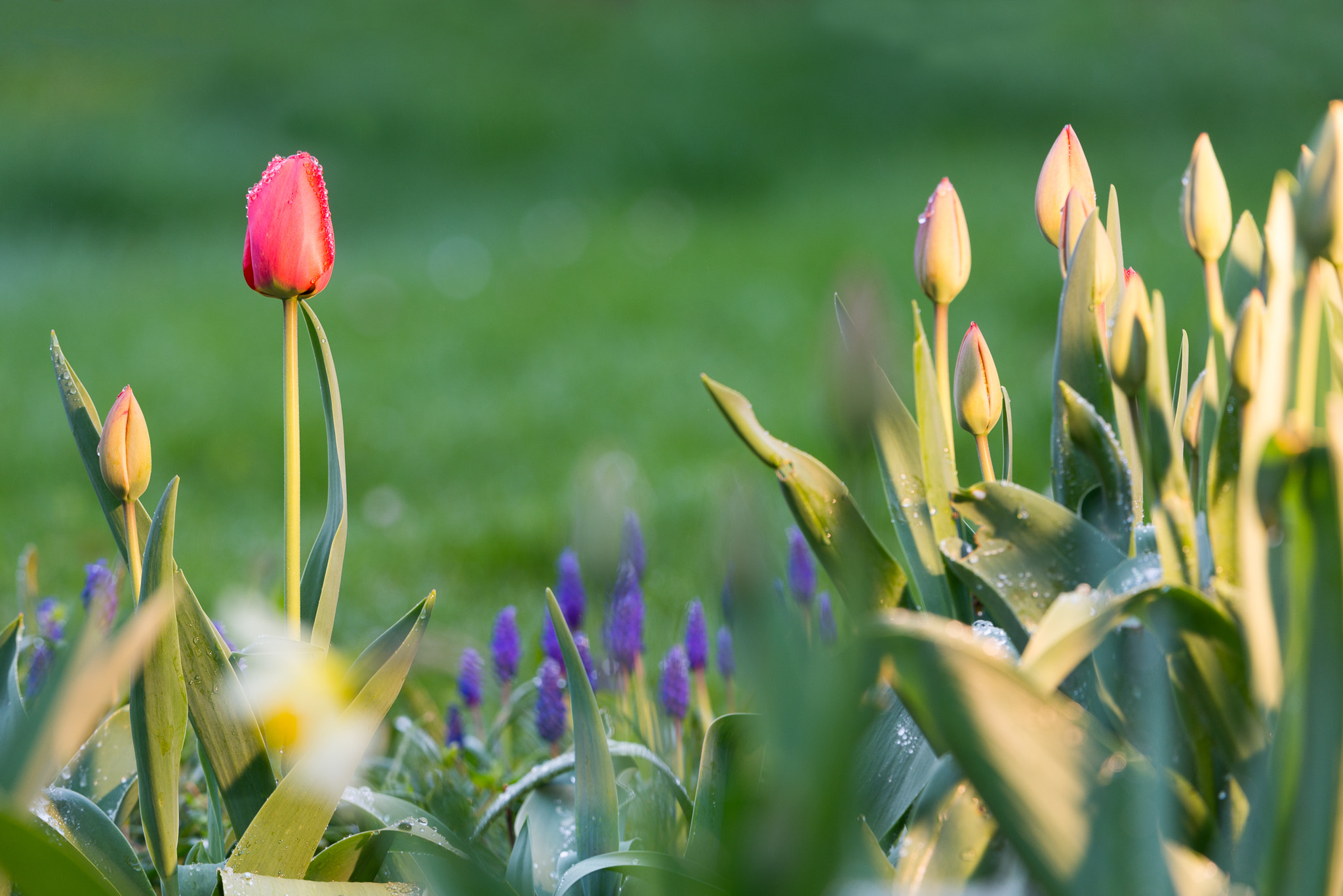 Nikon D600 sample photo. Sunday morning photography
