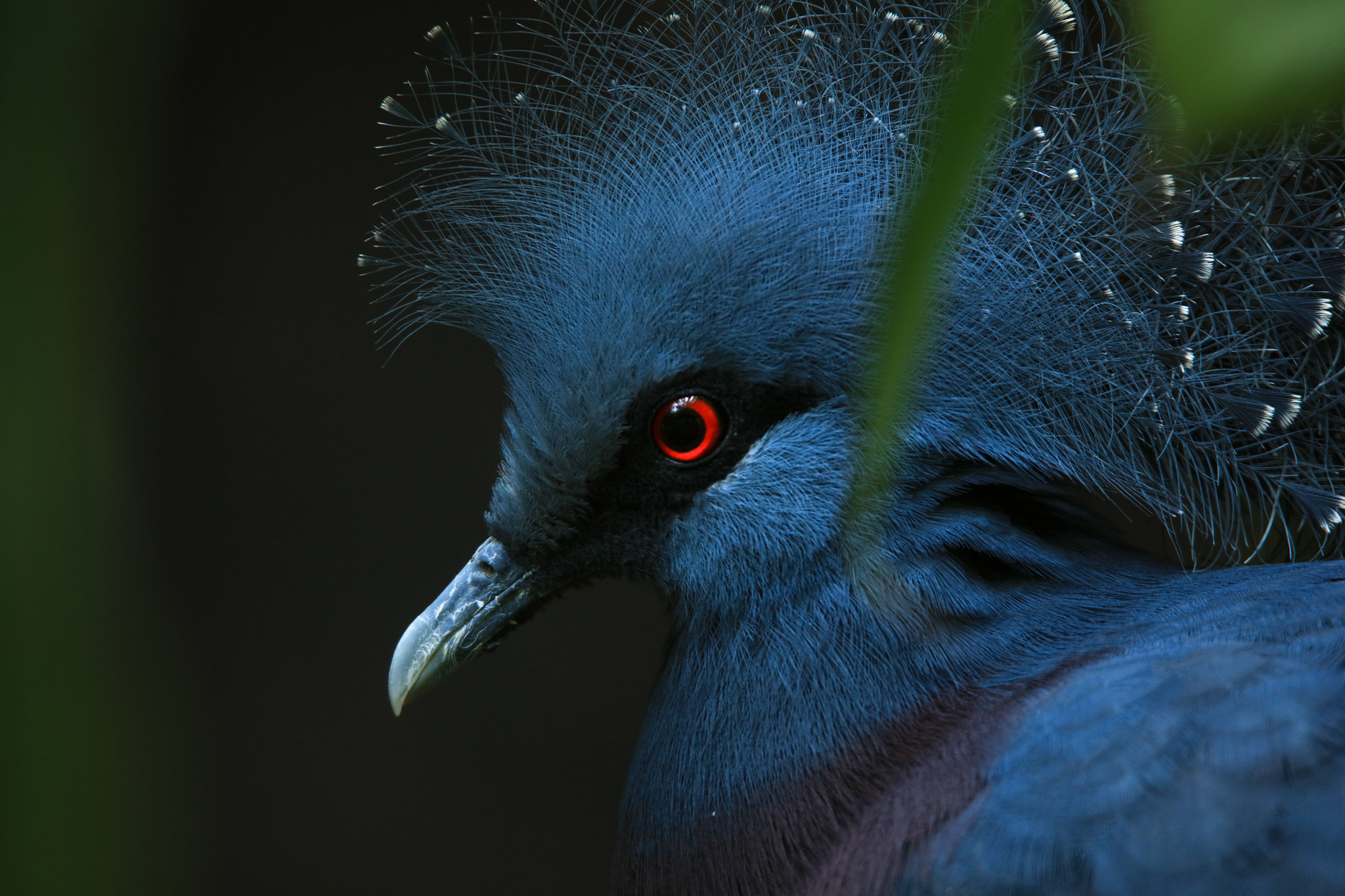 Tamron SP 150-600mm F5-6.3 Di VC USD sample photo. Look photography