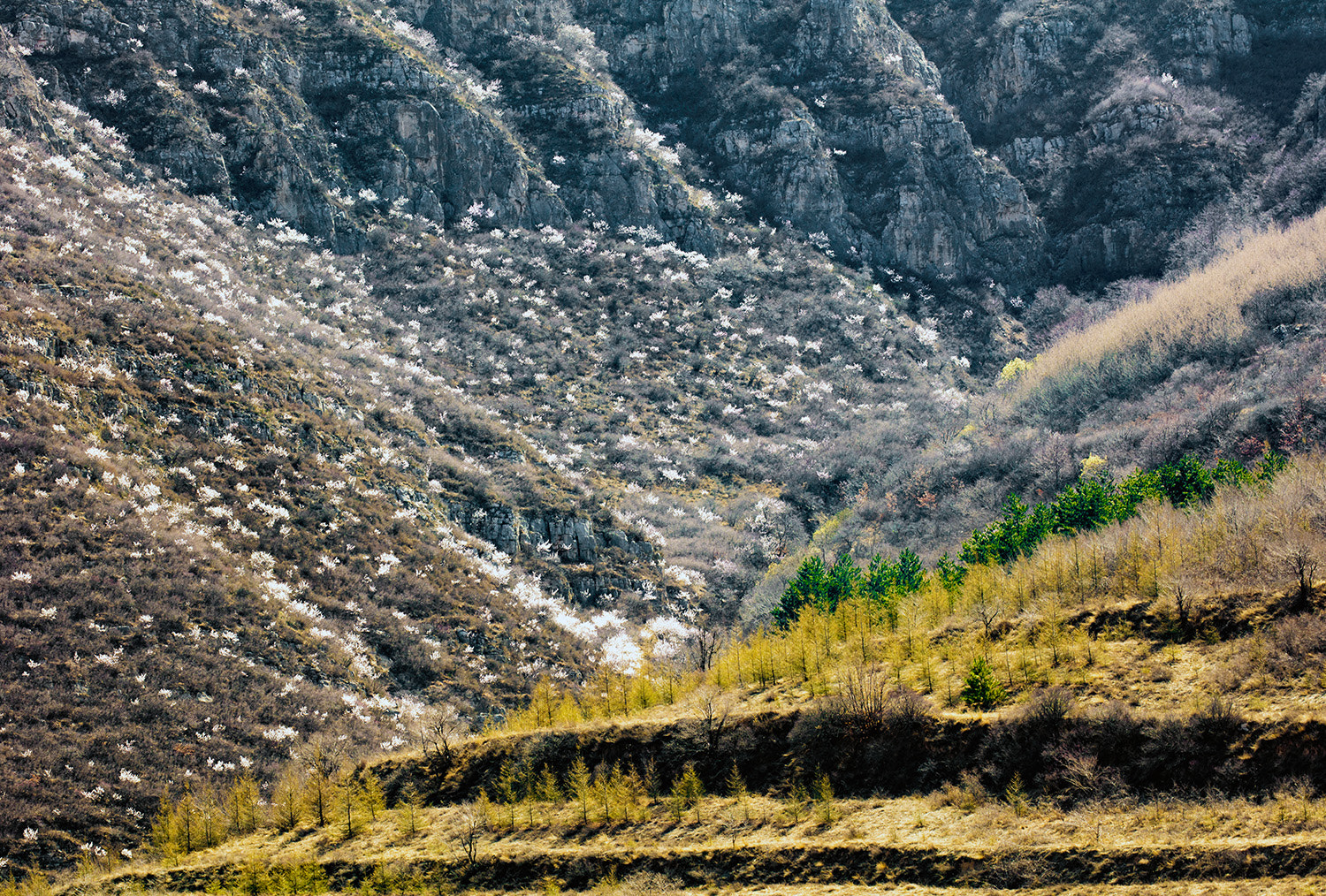 Canon EF 100-400mm F4.5-5.6L IS II USM sample photo. 山坡 photography