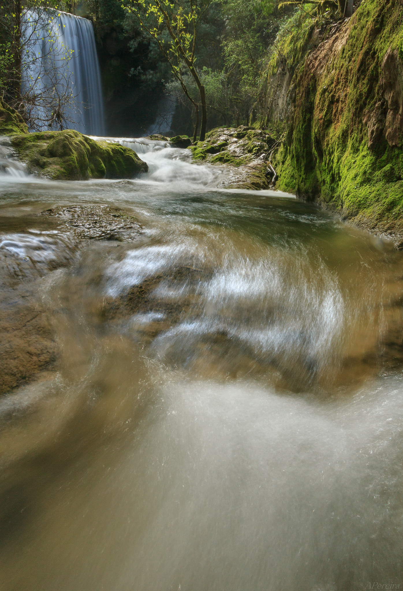 Sigma 17-70mm F2.8-4 DC Macro OS HSM sample photo. Hidden mysteries photography