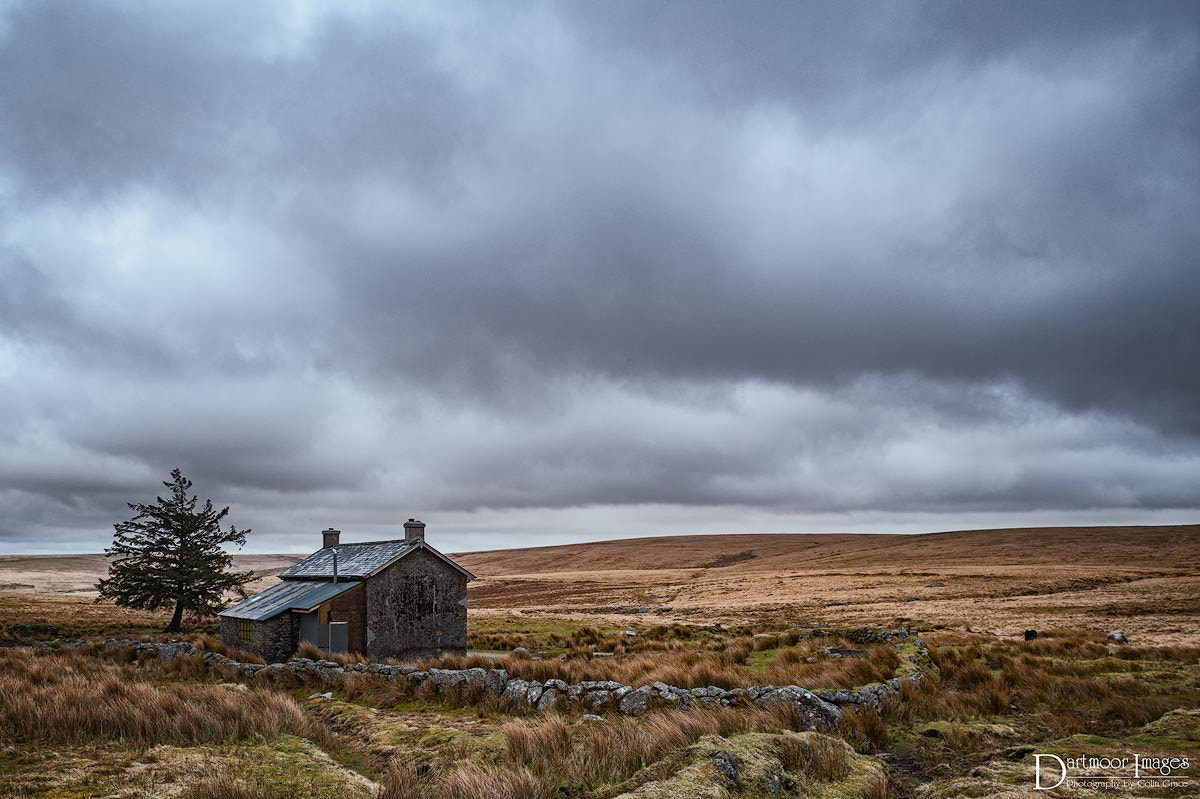 Nikon D700 + Nikon PC-E Nikkor 24mm F3.5D ED Tilt-Shift sample photo. Nuns cross farm photography