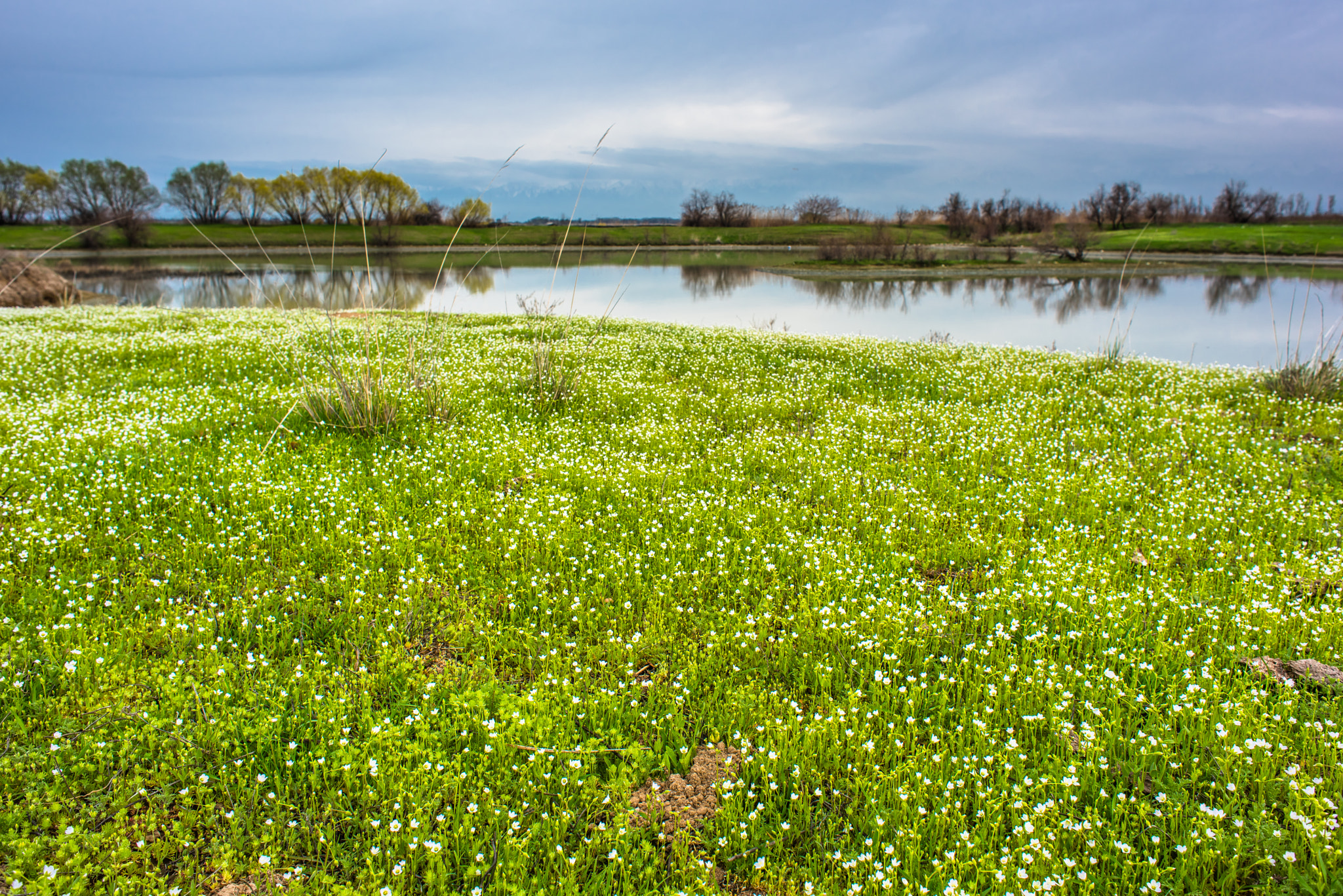 Nikon D810 + Nikon AF Nikkor 24mm F2.8D sample photo. Almaty nature photography