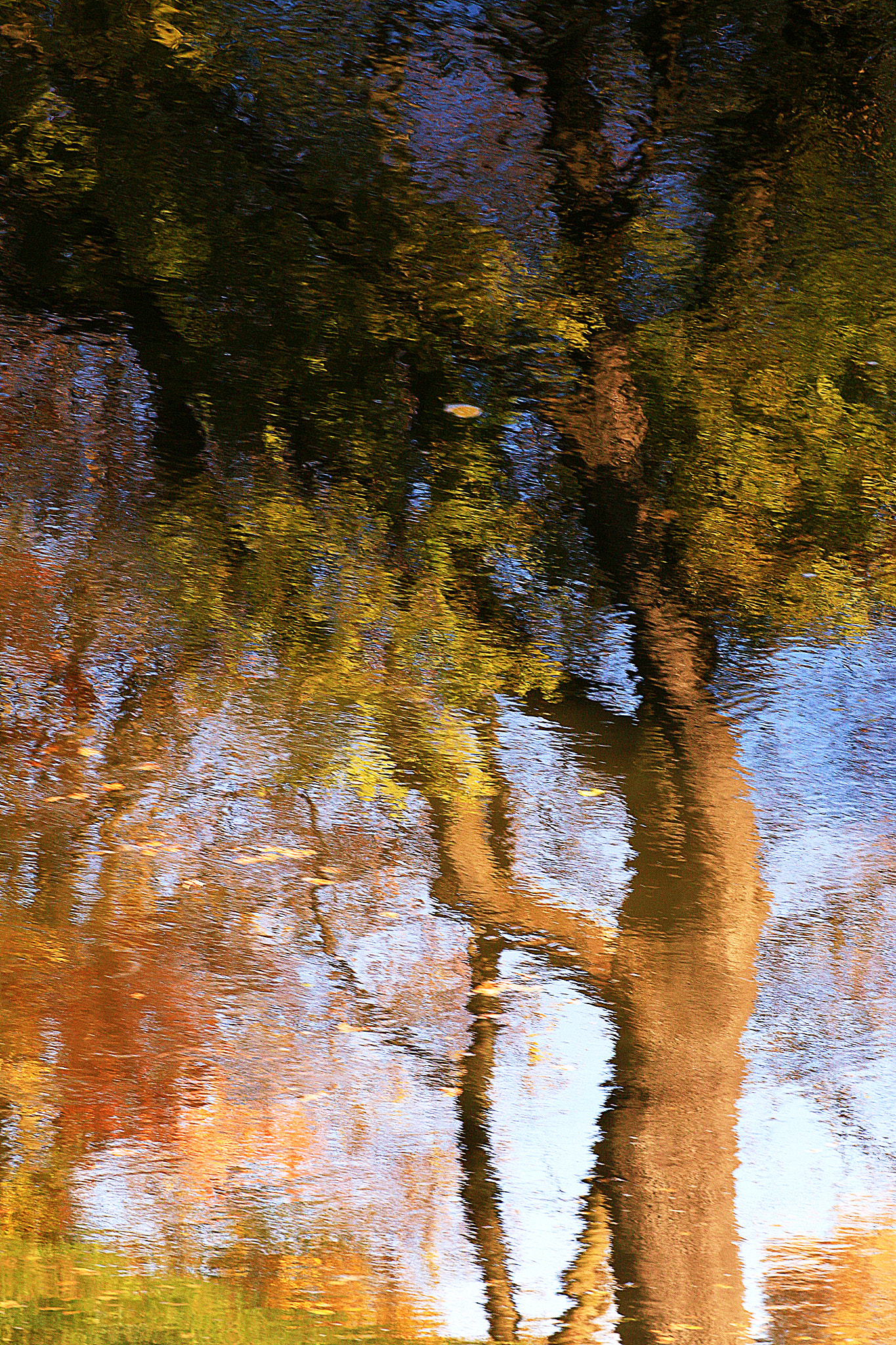 Canon EOS 70D + Canon EF 100mm F2.0 USM sample photo. My photoimpressionism photography