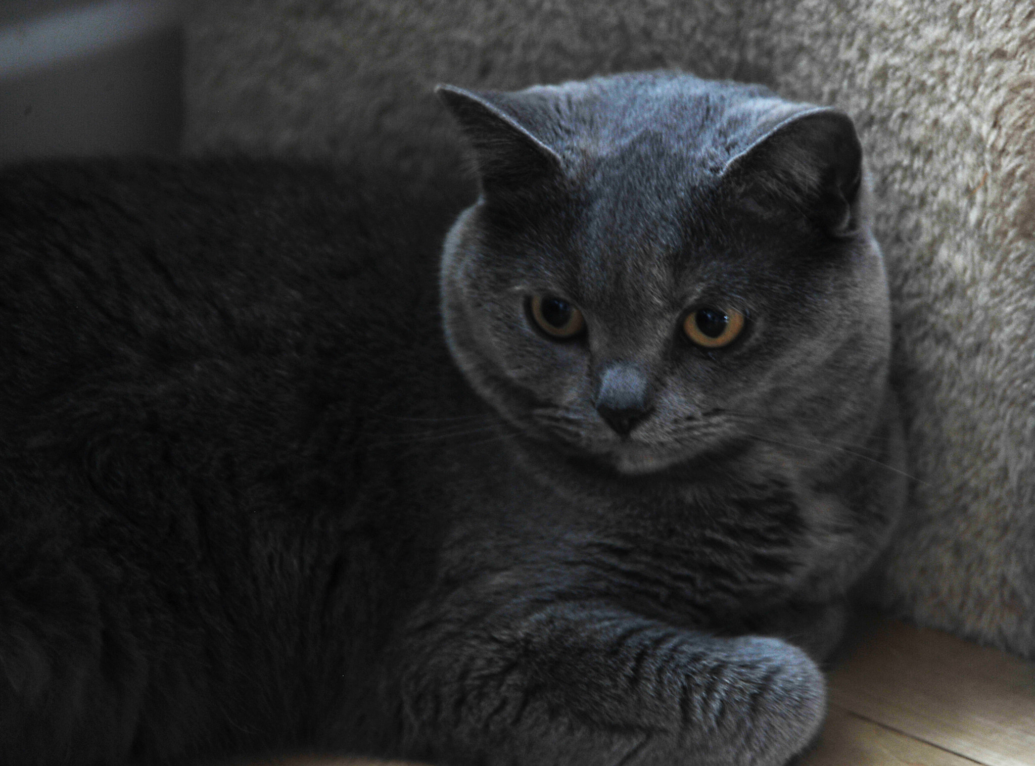 Nikon D3S sample photo. ...藍藍... photography