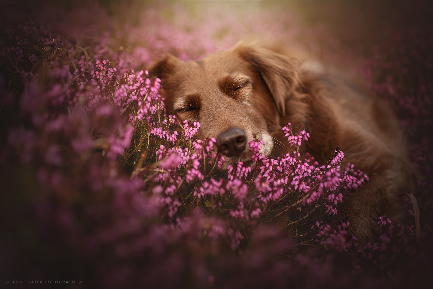 Nikon D750 + AF-S Nikkor 35mm f/1.8G sample photo. .....relaxing.... photography