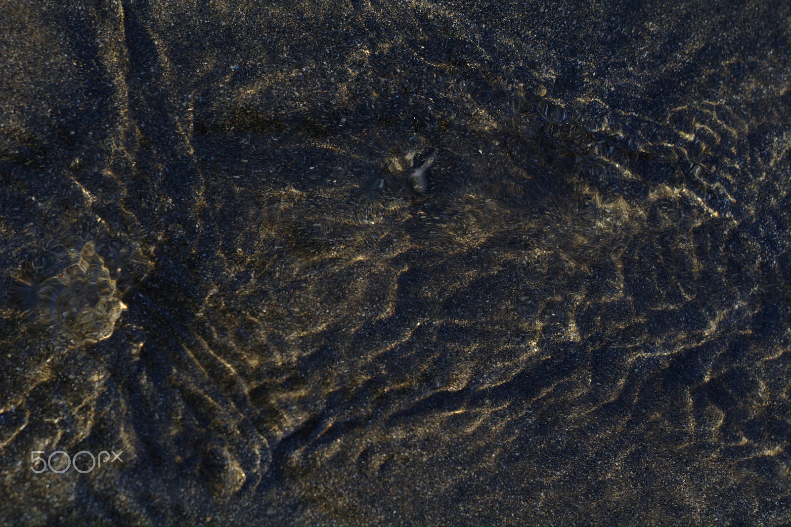 Manual Lens No CPU sample photo. Photo of sunlight shinning through ripples of tide photography