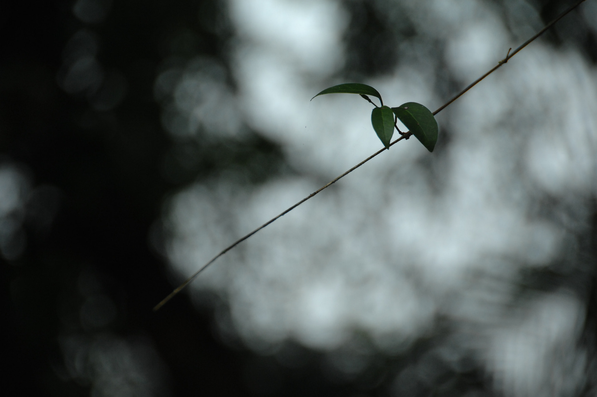 Nikon D2X sample photo. .. photography