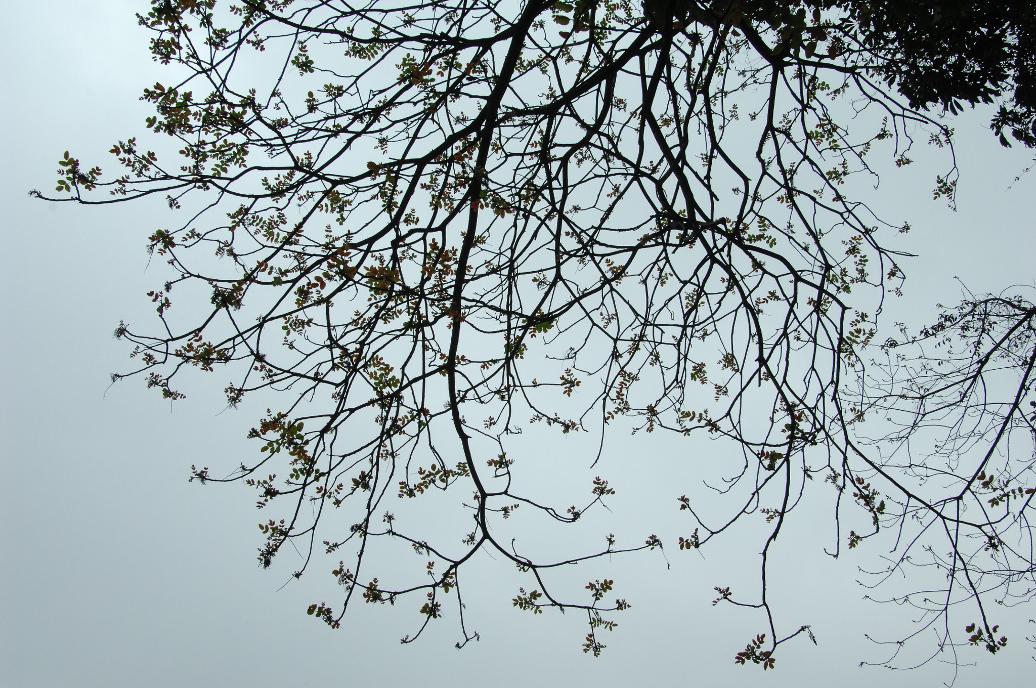 Nikon D2X sample photo. .. photography