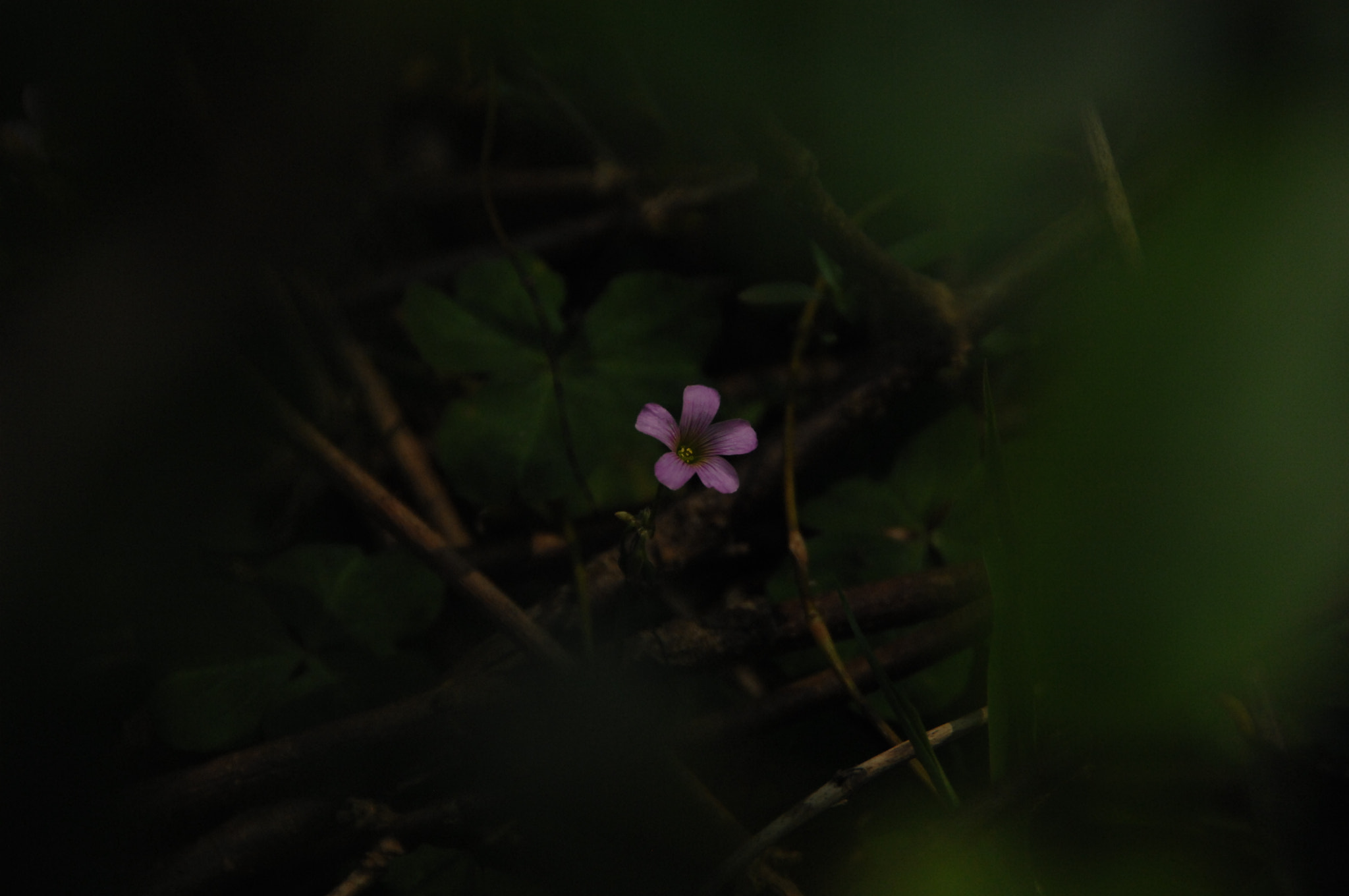 Nikon D2X sample photo. .. photography
