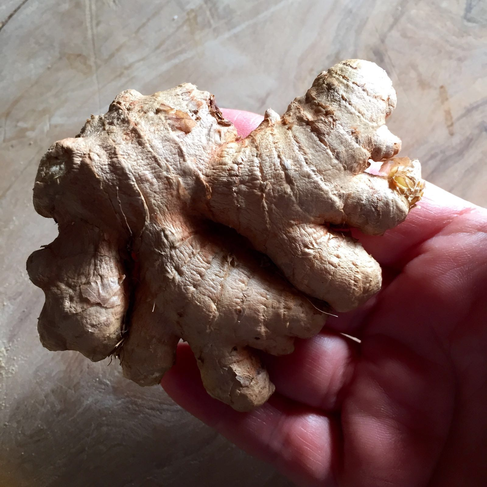 ginger porn