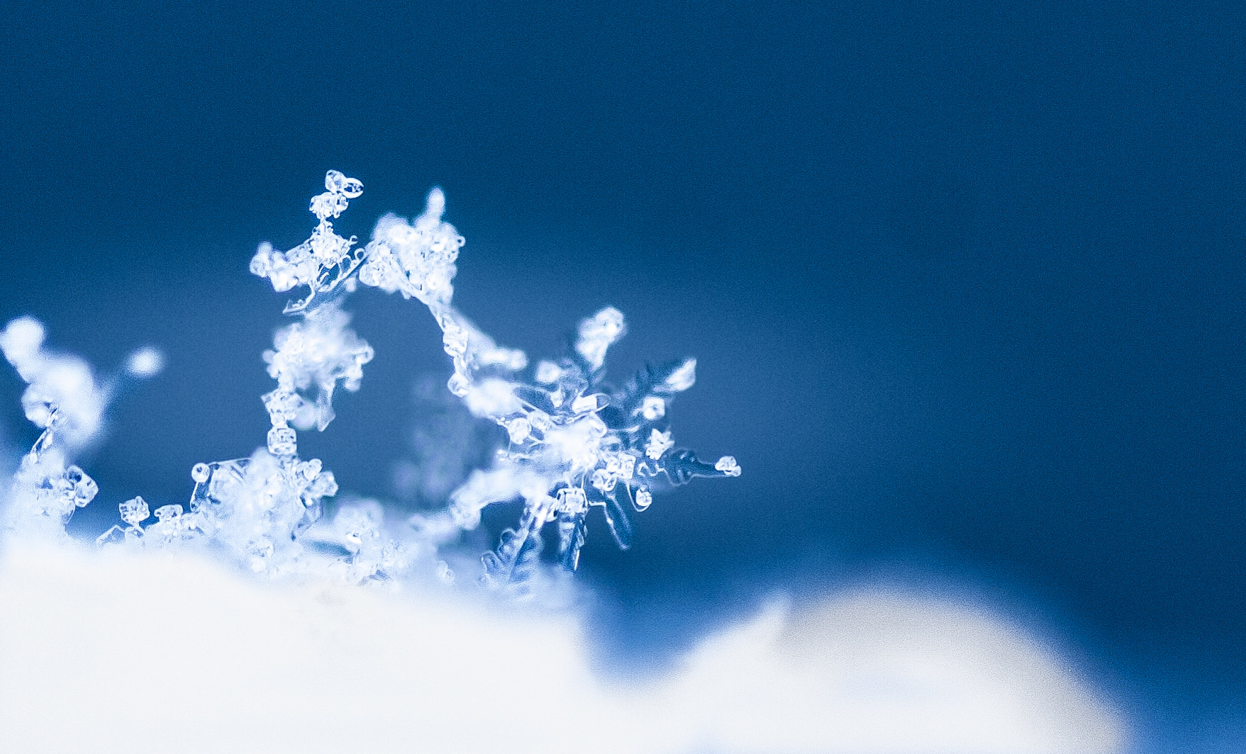 Tamron SP AF 90mm F2.8 Di Macro sample photo. Snowflake photography