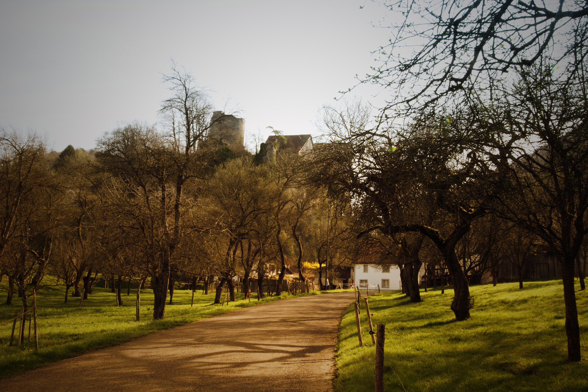 Sigma 12-24mm F4.5-5.6 II DG HSM sample photo. Pleujouse château photography