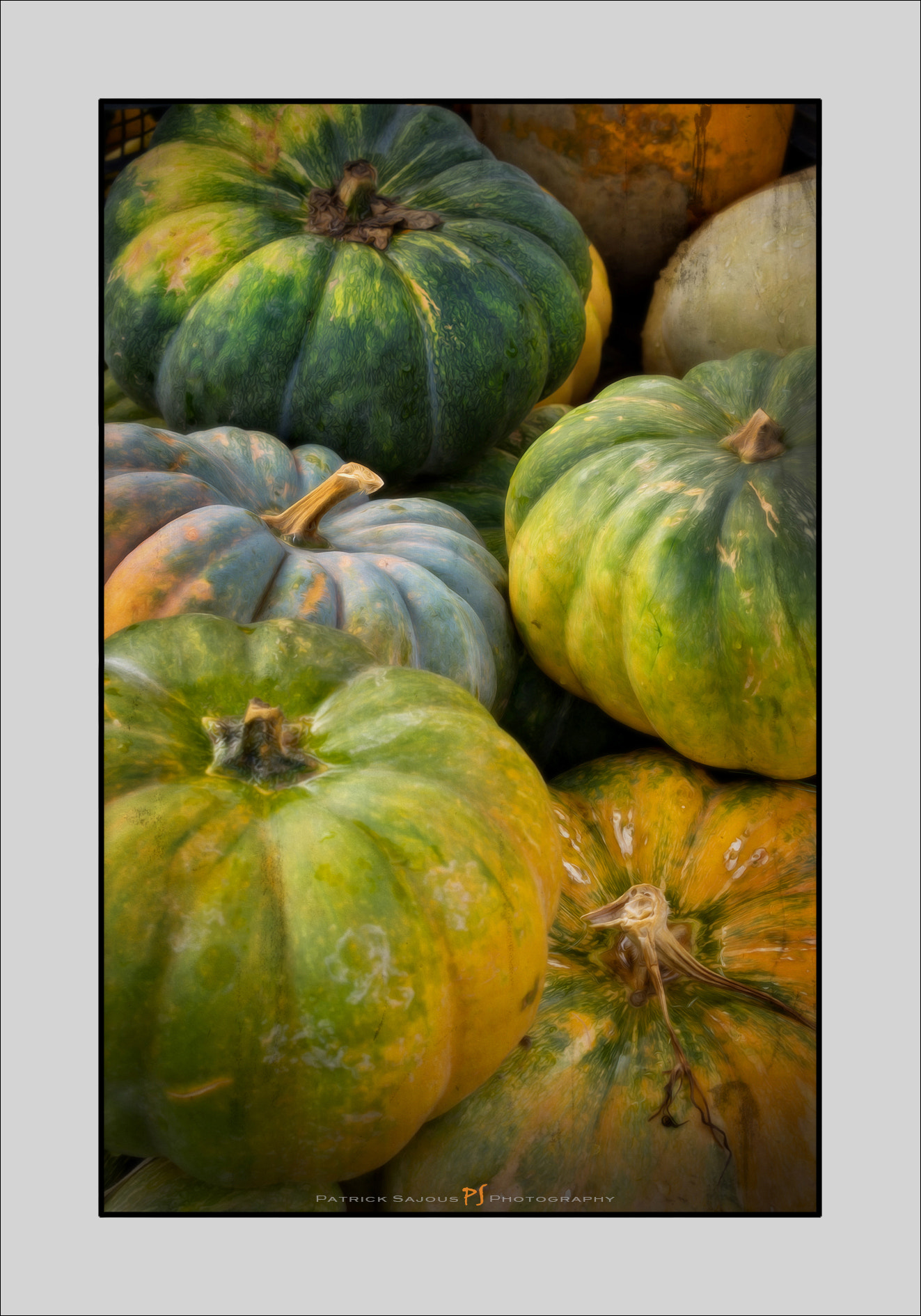 Olympus OM-D E-M5 + Olympus M.Zuiko Digital ED 40-150mm F2.8 Pro sample photo. Citrouilles et potirons photography