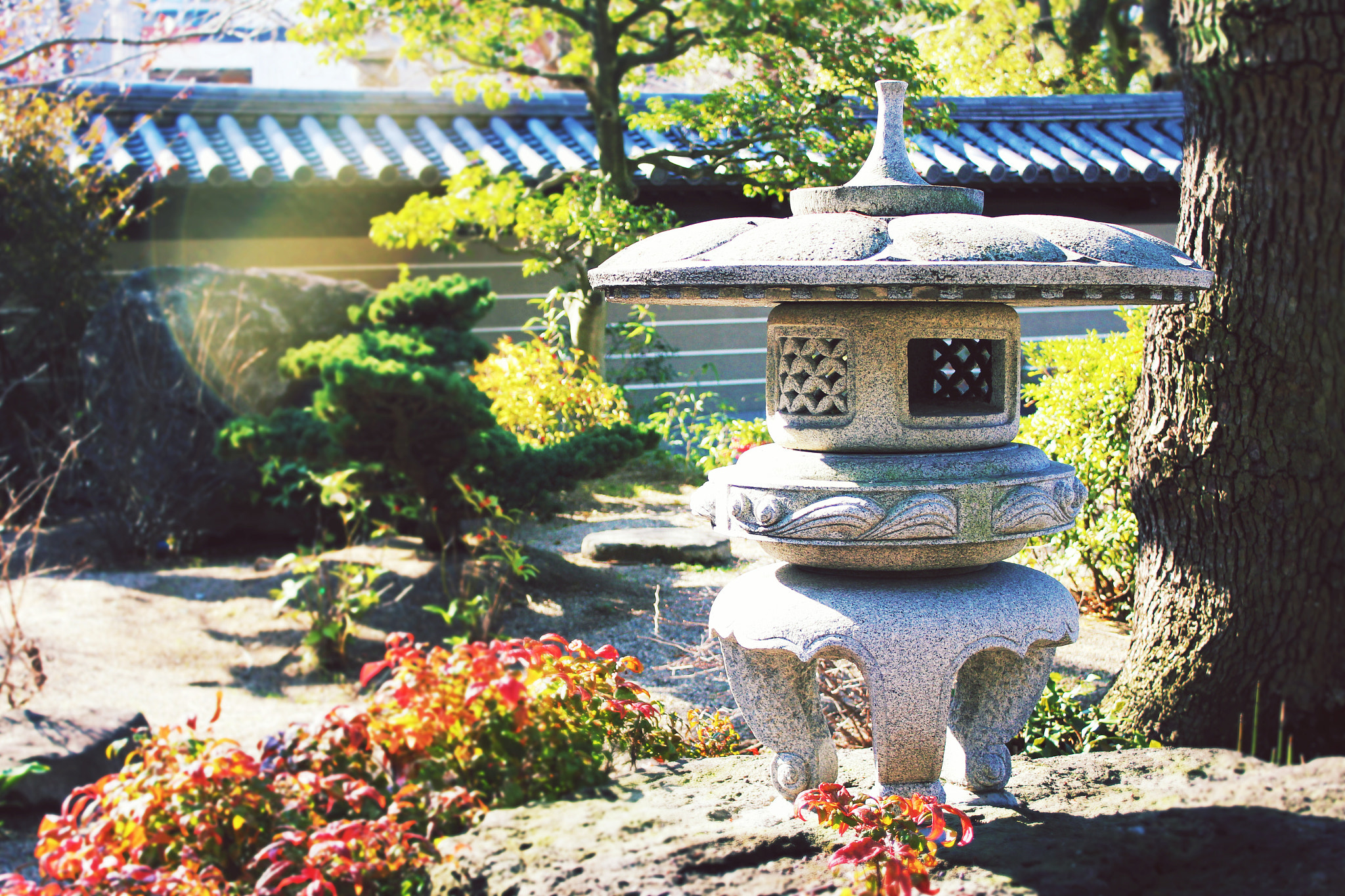 Canon EF-S 18-55mm F3.5-5.6 IS sample photo. Processed with rookie cam photography