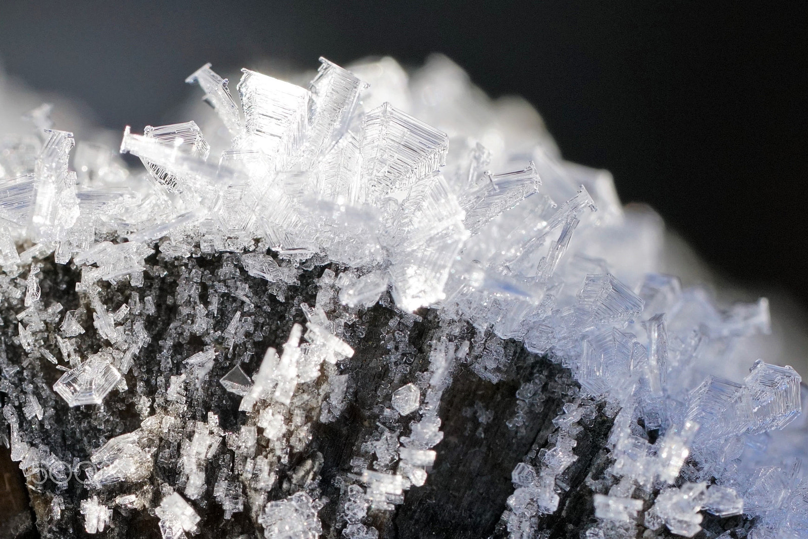 Sony a7R II + Sony FE 90mm F2.8 Macro G OSS sample photo. Ice crystals photography