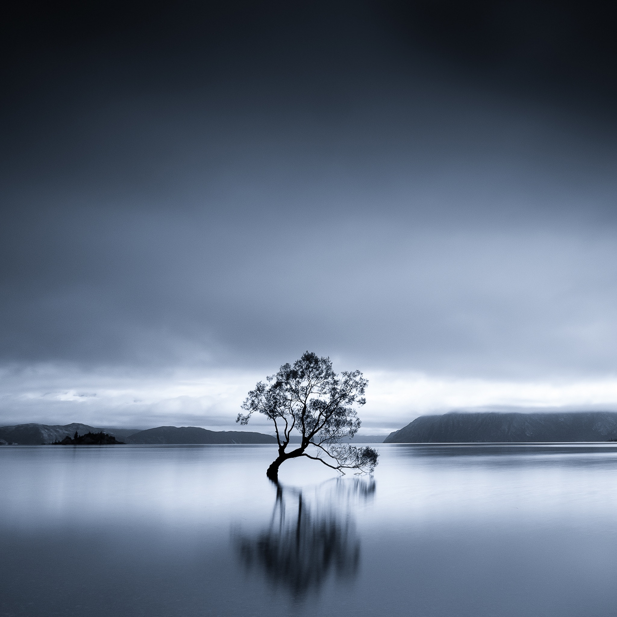 OLYMPUS M.12mm F2.0 Ltd Blk sample photo. That tree - wanaka in nz's south island is a must stop if you are visiting @purenewzealand photography