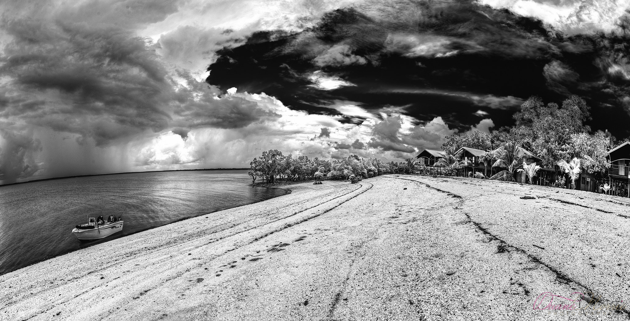 Canon EOS-1D X + Canon EF 8-15mm F4L Fisheye USM sample photo. Coastal crab claw island photography
