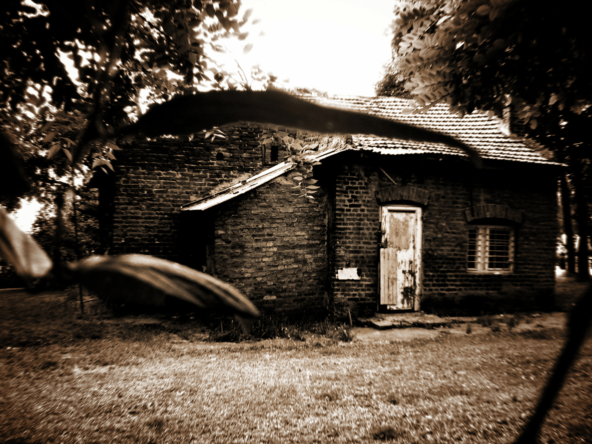 Canon PowerShot A1000 IS sample photo. Creepy house photography