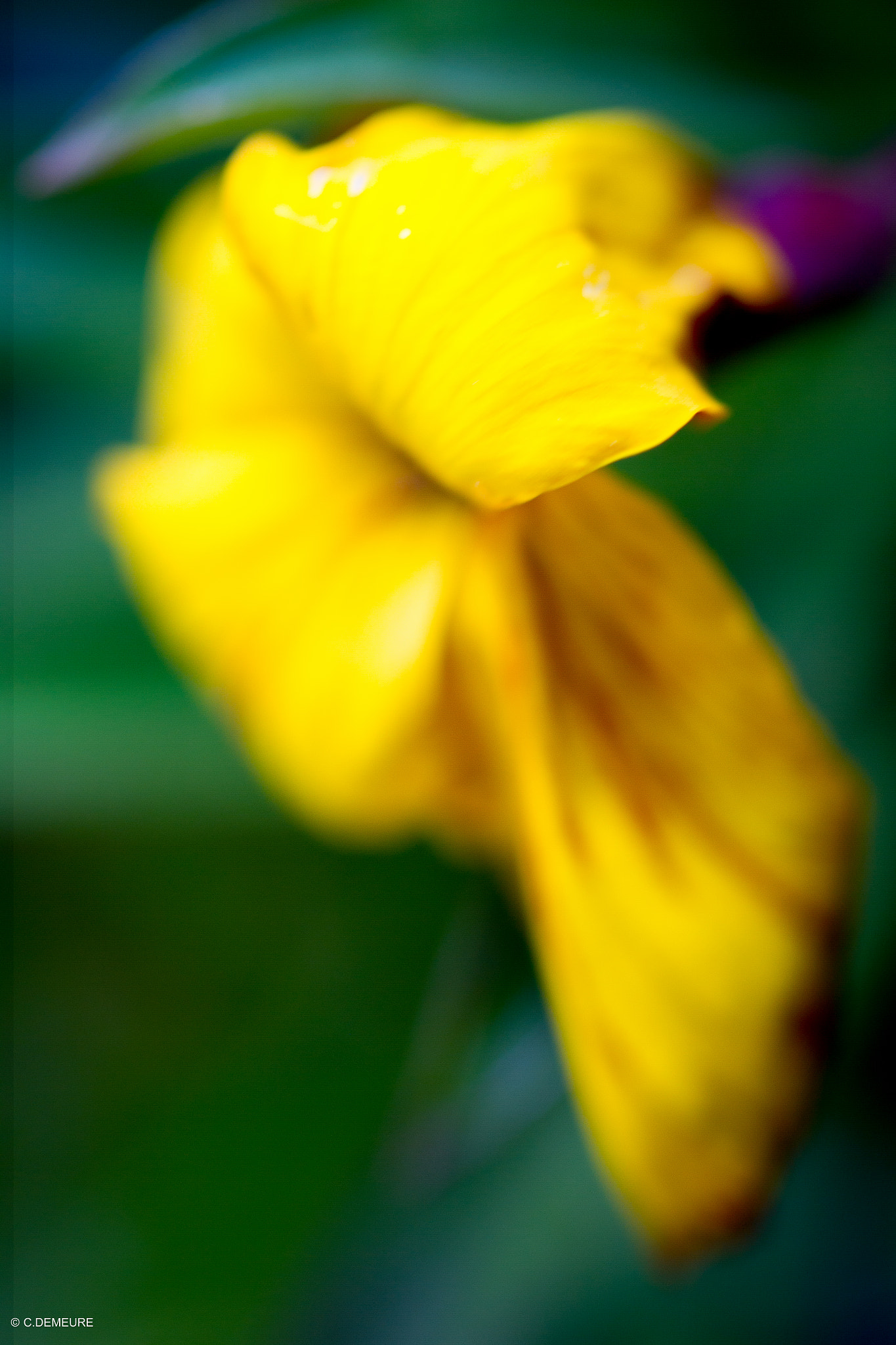 Canon EOS 7D + Sigma 50mm f/2.8 EX sample photo. Img_0776.jpg photography