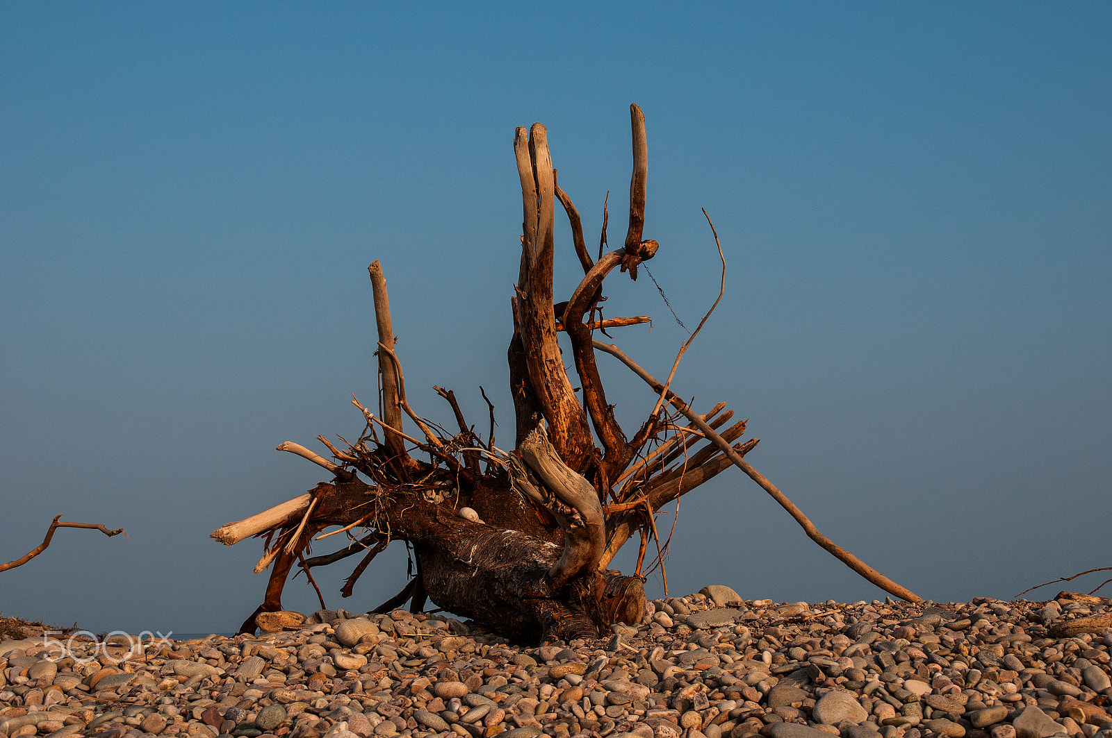 Nikon D300 + Sigma 18-200mm F3.5-6.3 DC sample photo. Washed up photography