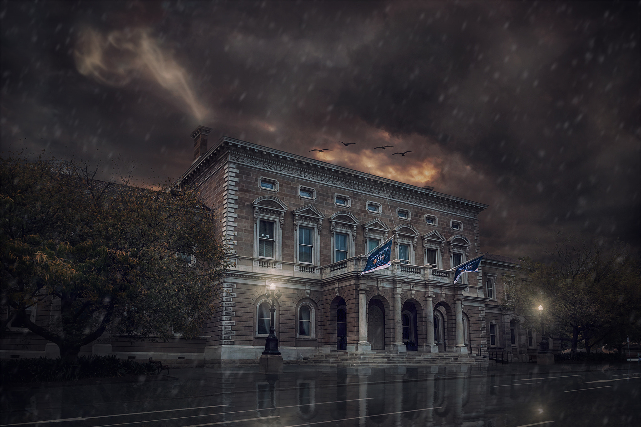 Canon EOS 70D + Canon EF 500mm F4L IS USM sample photo. Hobart town hall, tasmania photography