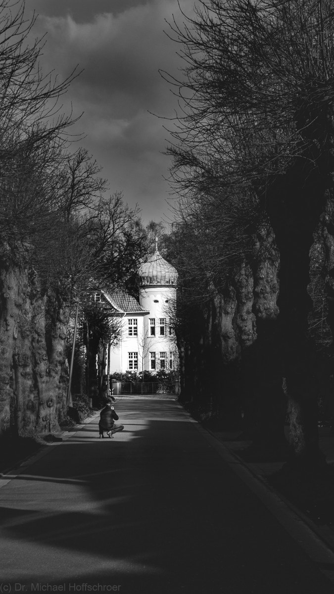 Canon EF-S 18-55mm F3.5-5.6 sample photo. Allee mit blick auf stadtvilla in schwarz und weiß photography