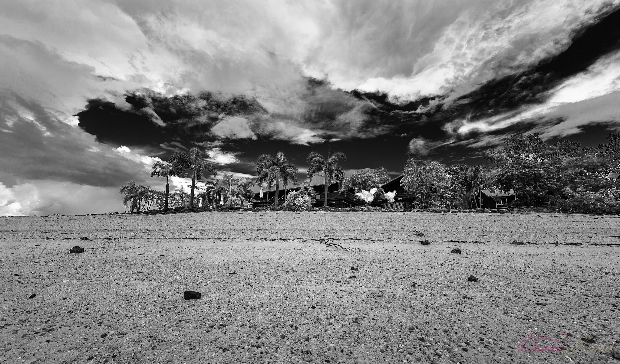 Canon EF 8-15mm F4L Fisheye USM sample photo. Coastal crab claw island photography