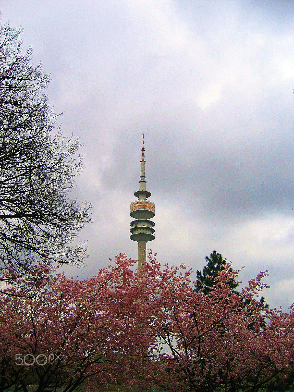 Canon POWERSHOT S50 sample photo. Communication tower, olympic park, munich. photography