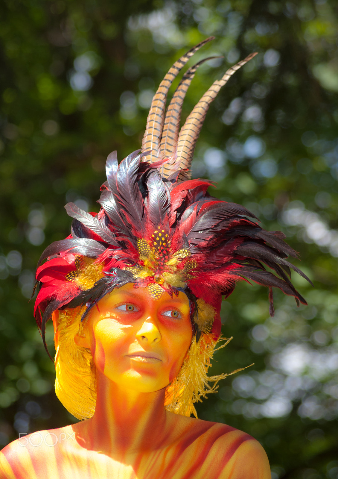Sony Alpha DSLR-A200 + Sigma 55-200mm F4-5.6 DC sample photo. Yellow&red photography