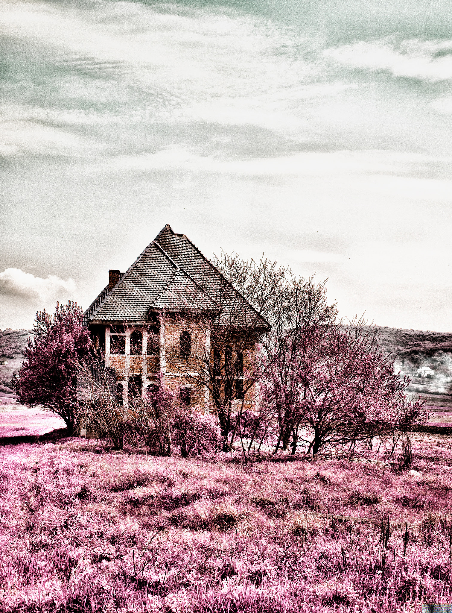 Canon EOS 750D (EOS Rebel T6i / EOS Kiss X8i) sample photo. Fairy land photography